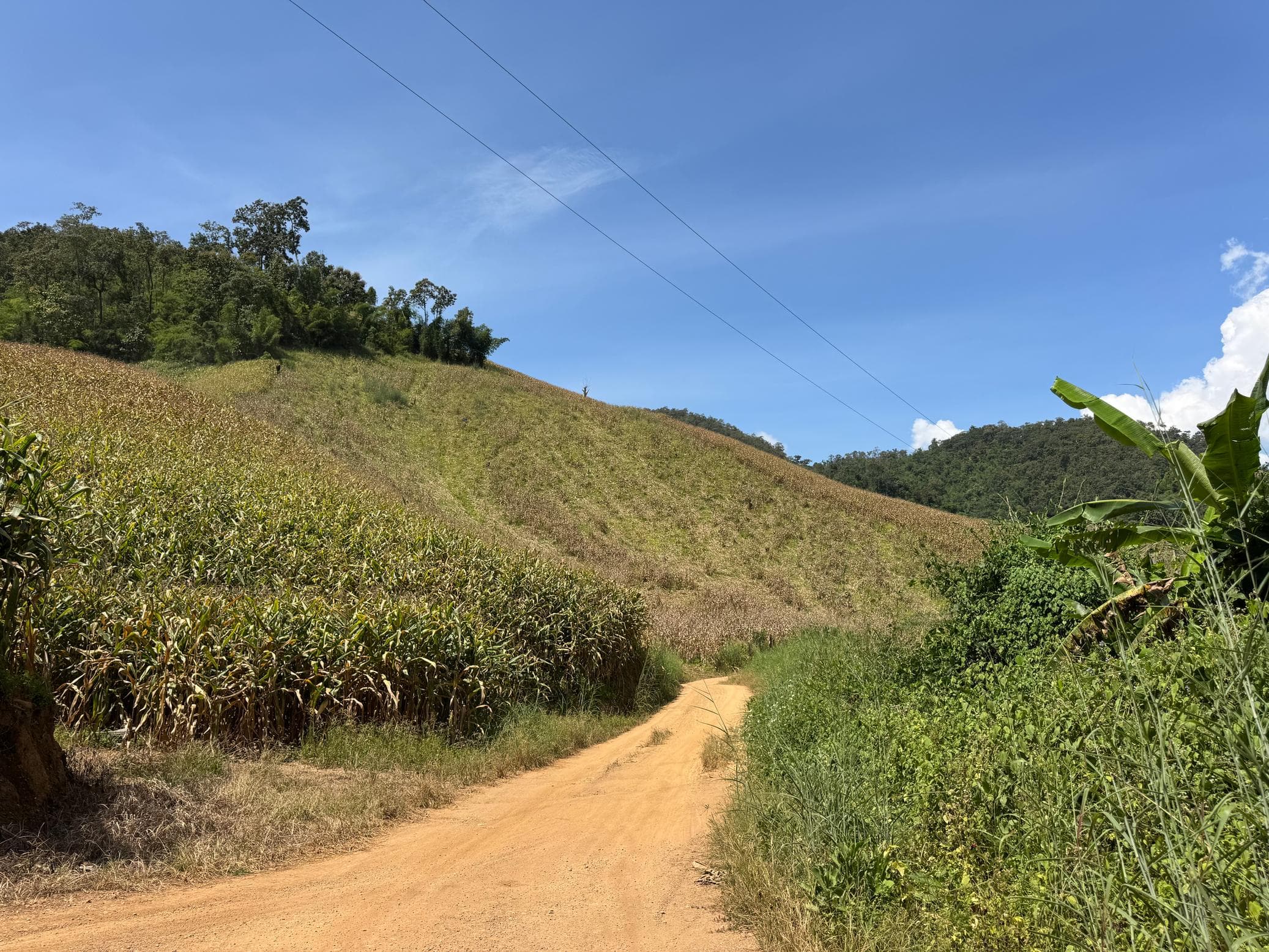 Mae Sa to Mae Chaem - The Long Way — photo 8