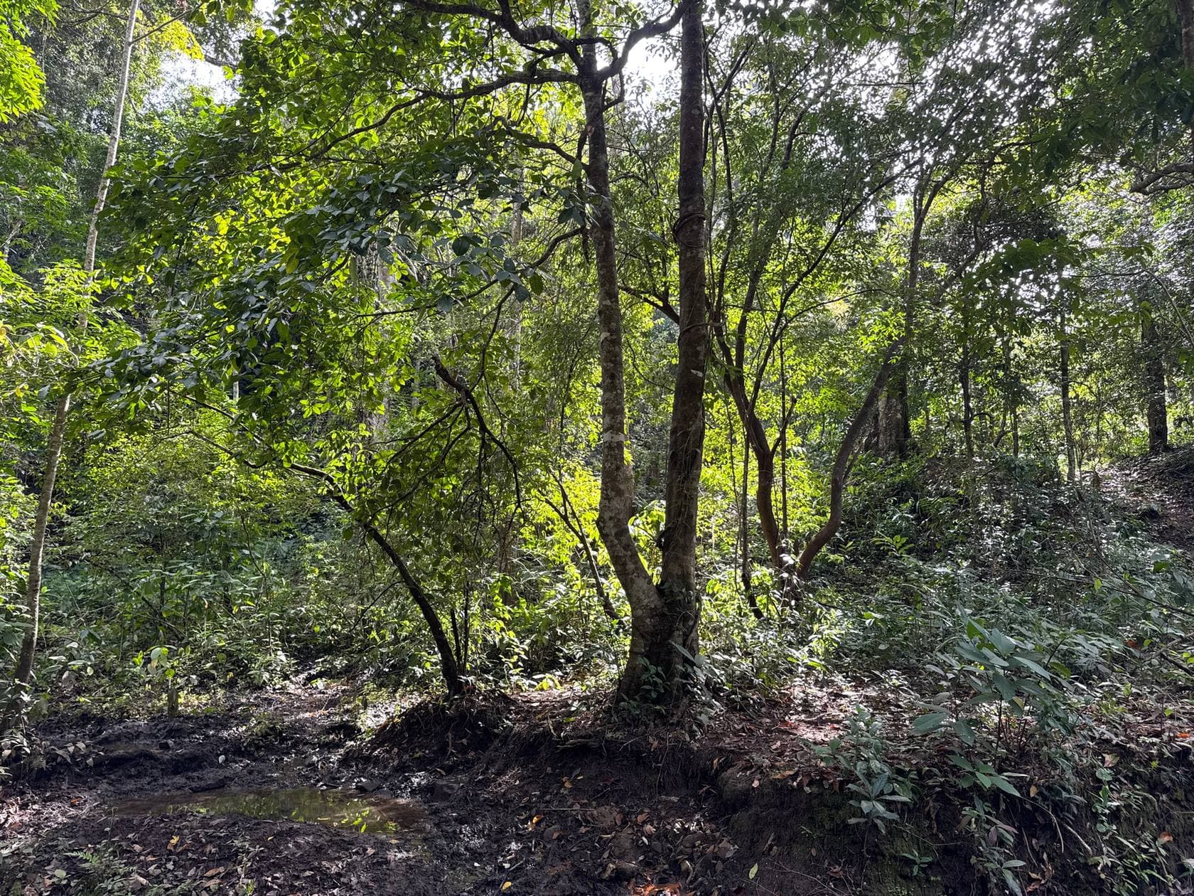 Mae Sa to Mae Chaem - The Long Way — photo 11