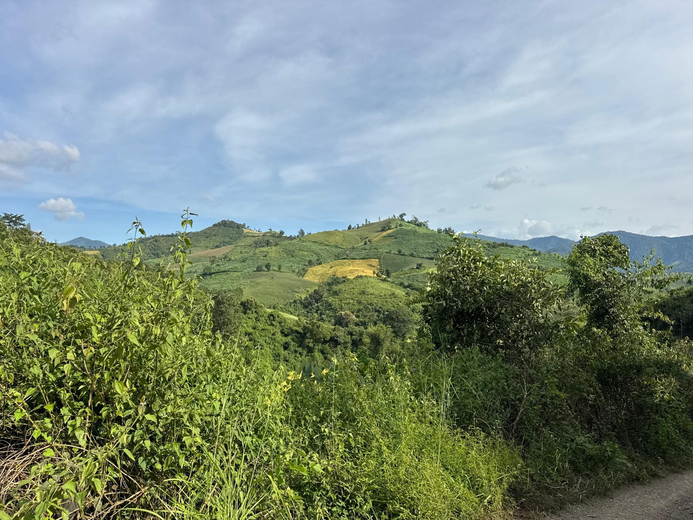 Mae Sa to Mae Chaem - The Long Way — photo 13