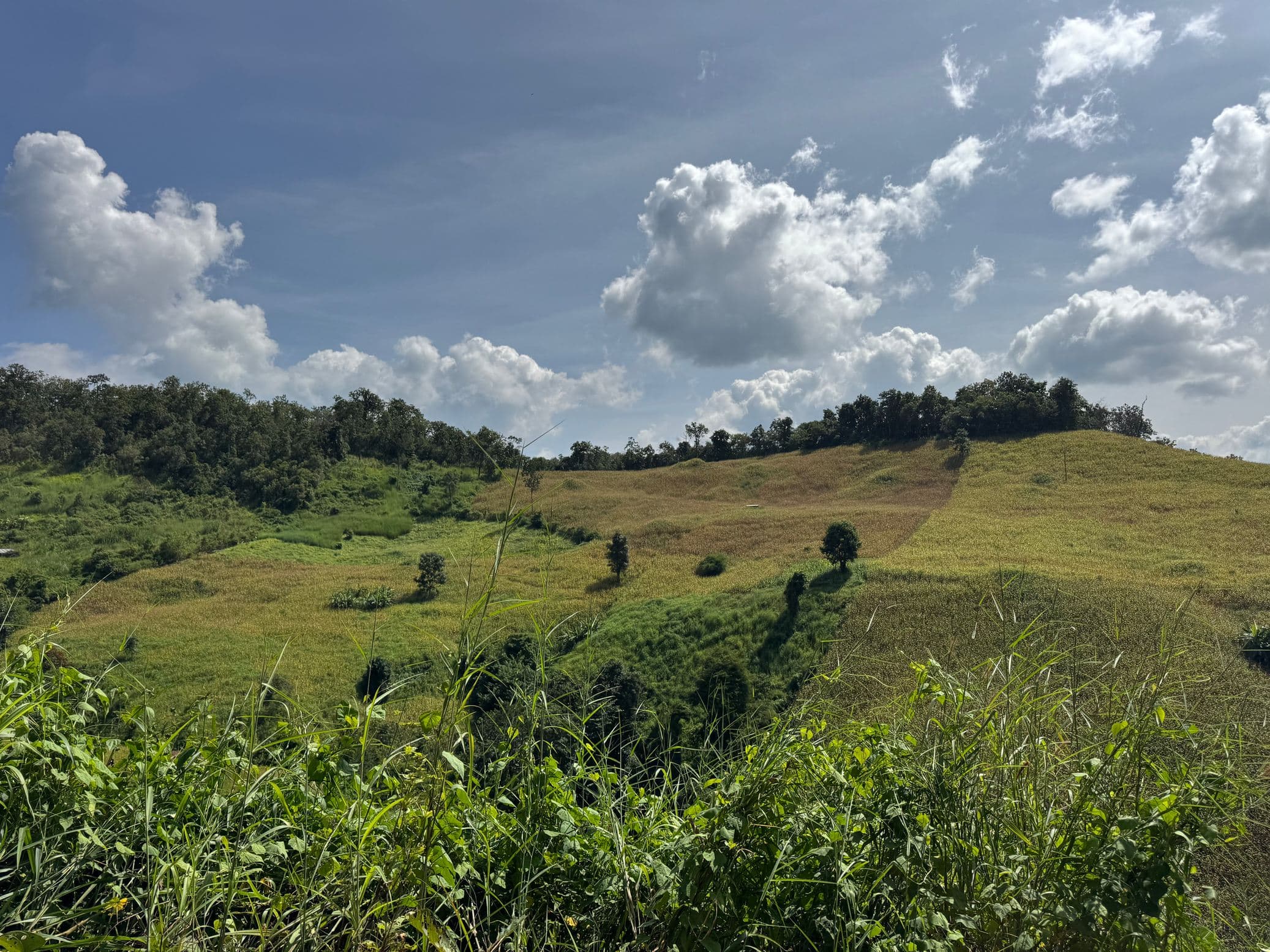 Mae Sa to Mae Chaem - The Long Way — photo 18