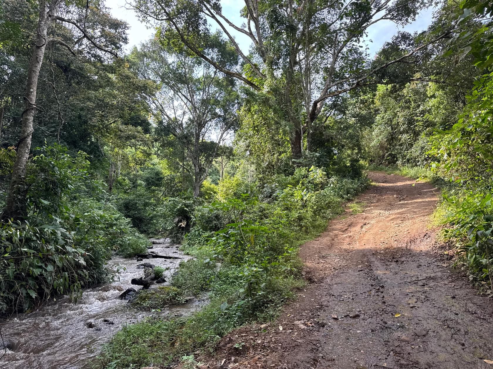 Mae Sa to Mae Chaem - The Long Way — photo 22