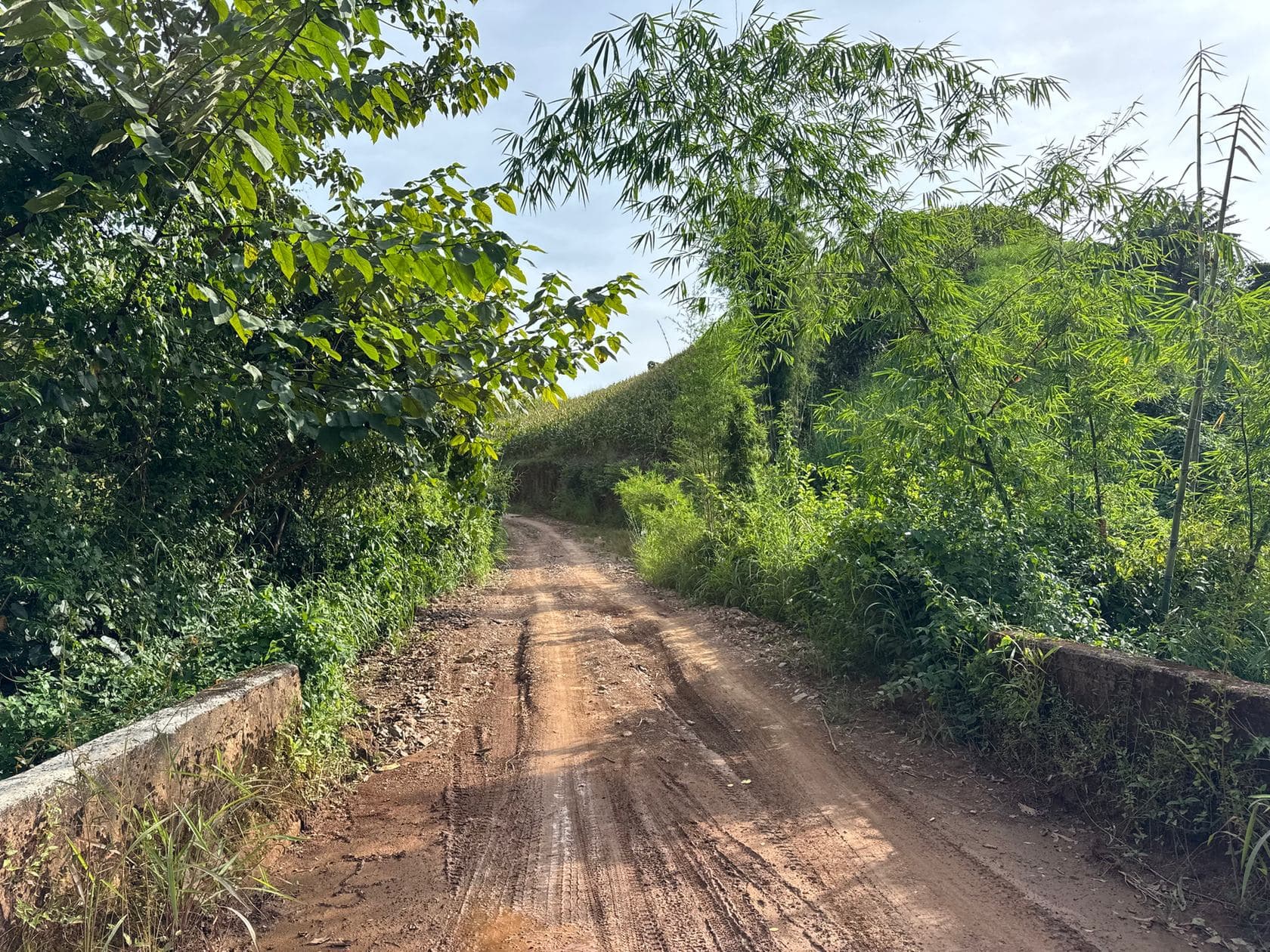 Mae Sa to Mae Chaem - The Long Way — photo 28