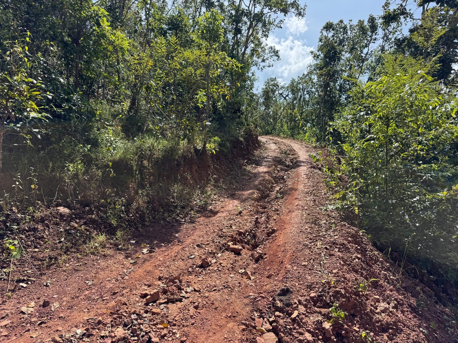 Mae Sa to Mae Chaem - The Long Way — photo 29