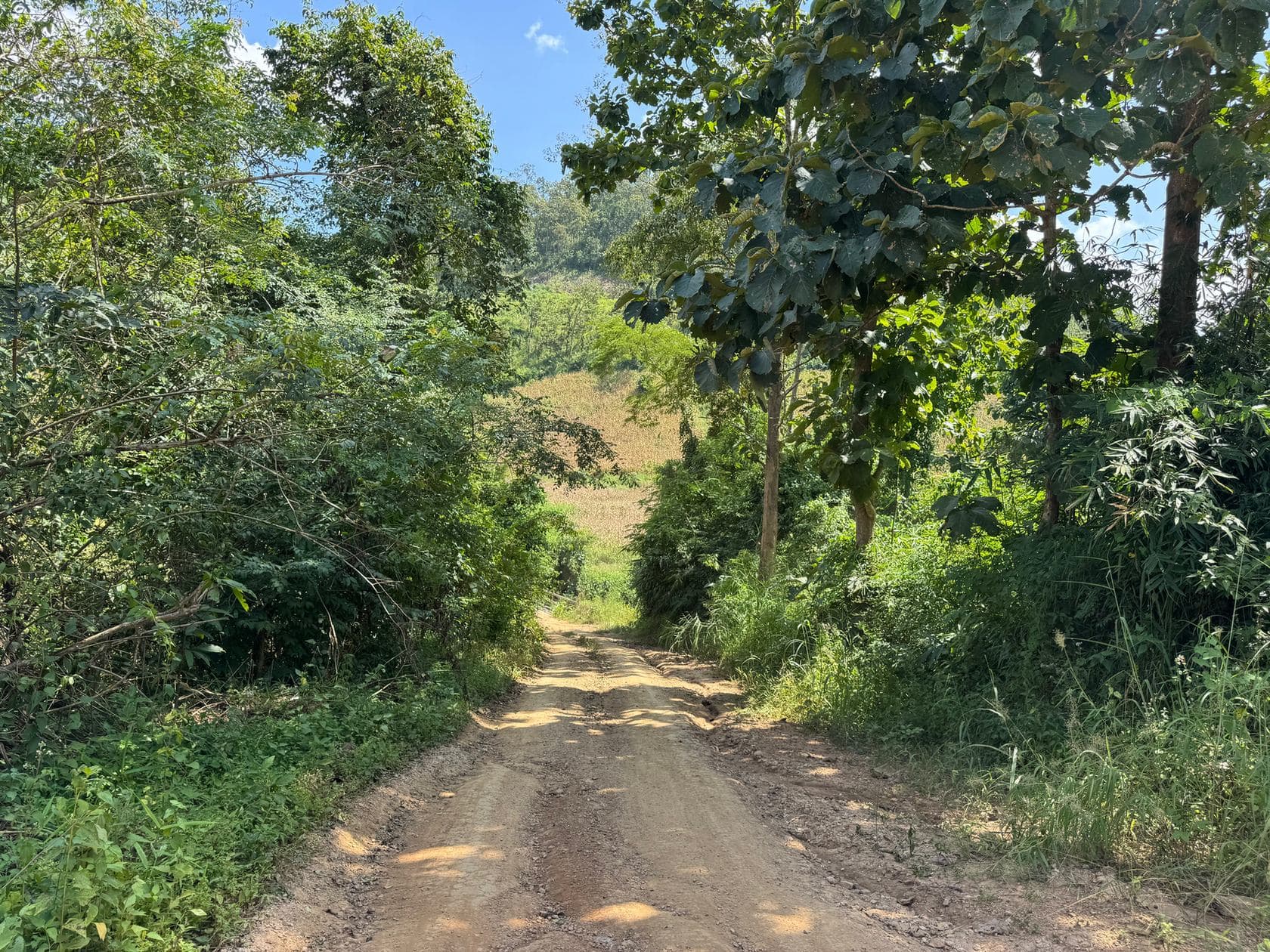 Mae Sa to Mae Chaem - The Long Way — photo 31