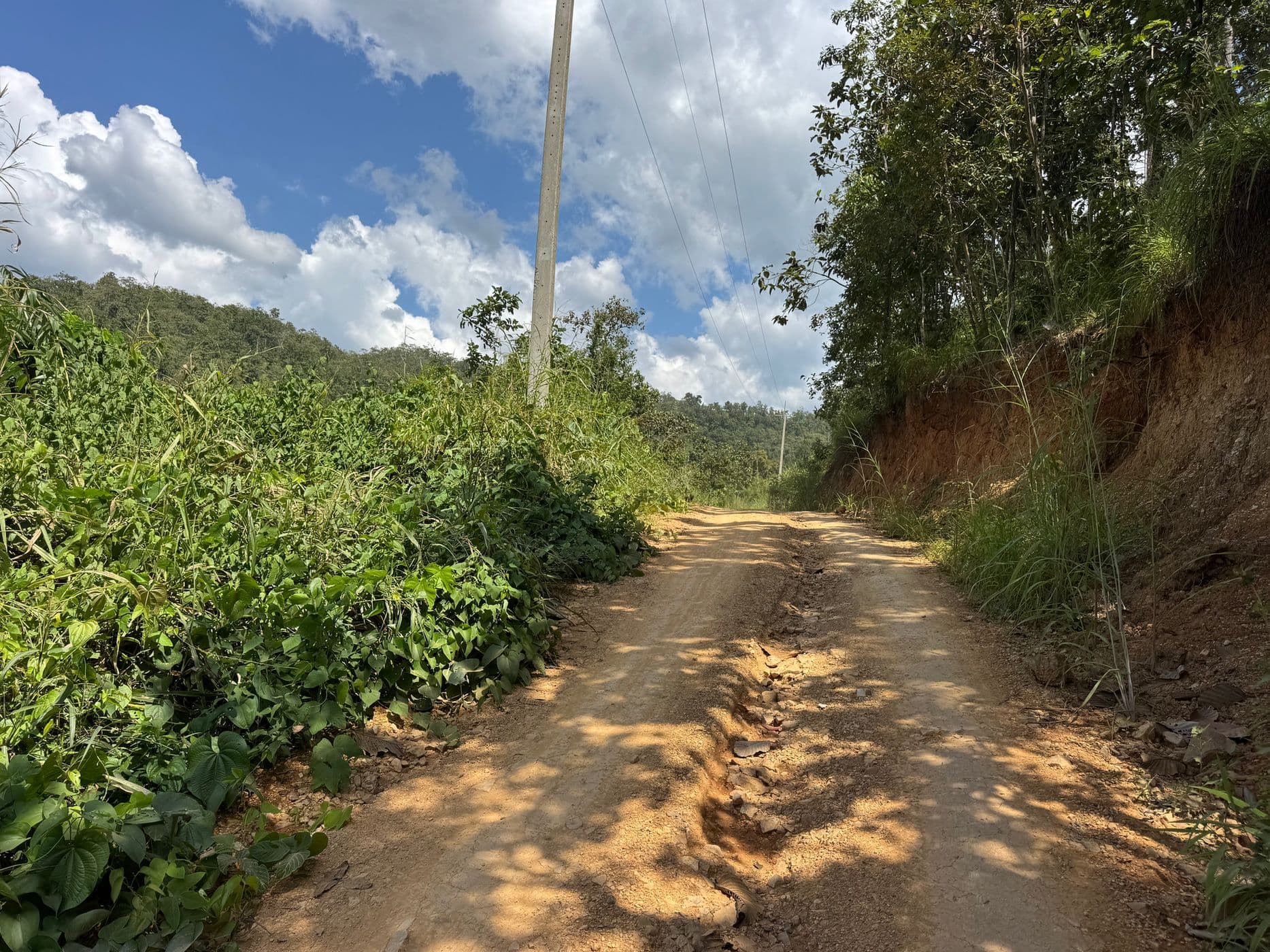 Mae Sa to Mae Chaem - The Long Way — photo 37