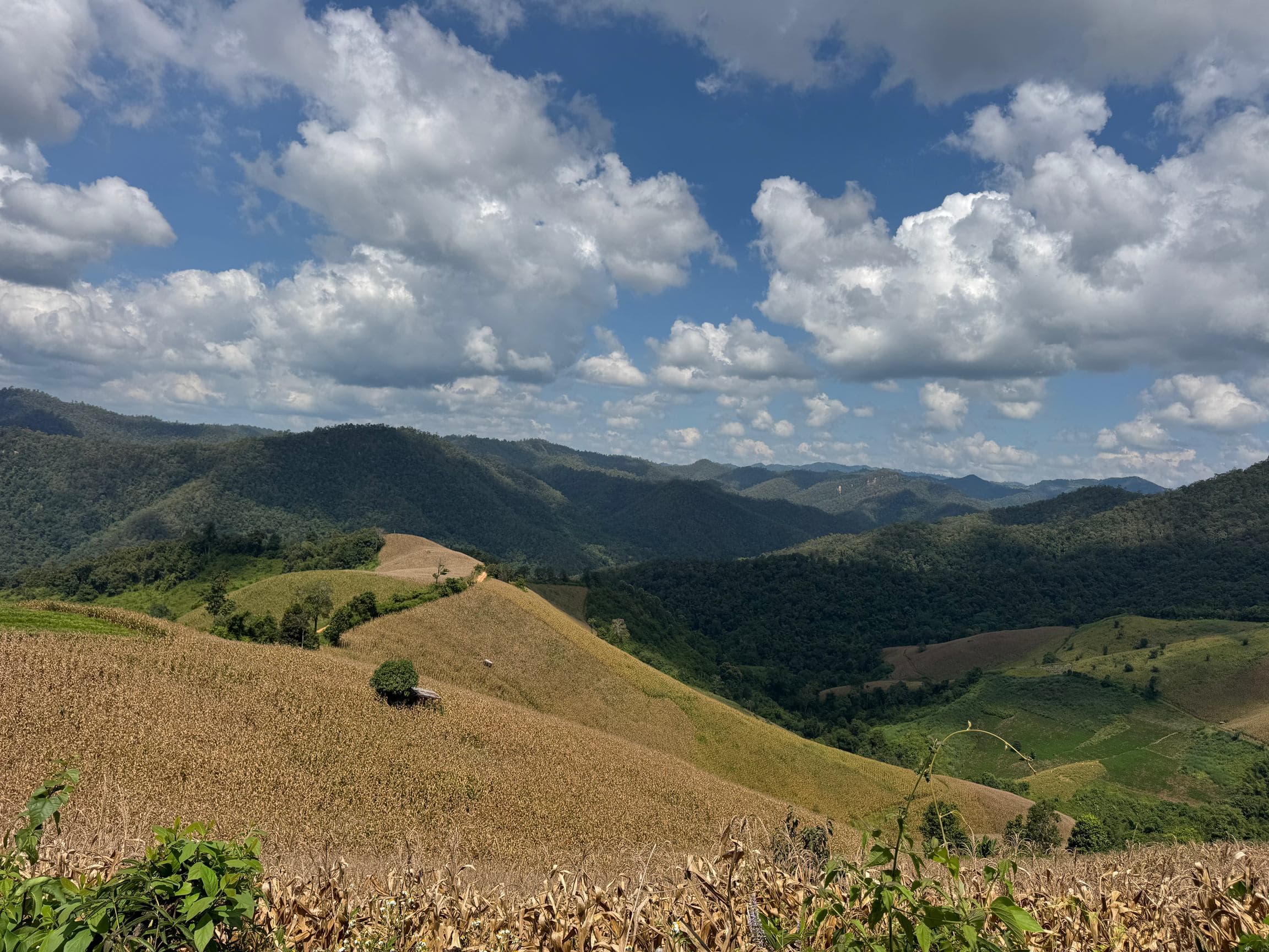 Mae Sa to Mae Chaem - The Long Way — photo 39