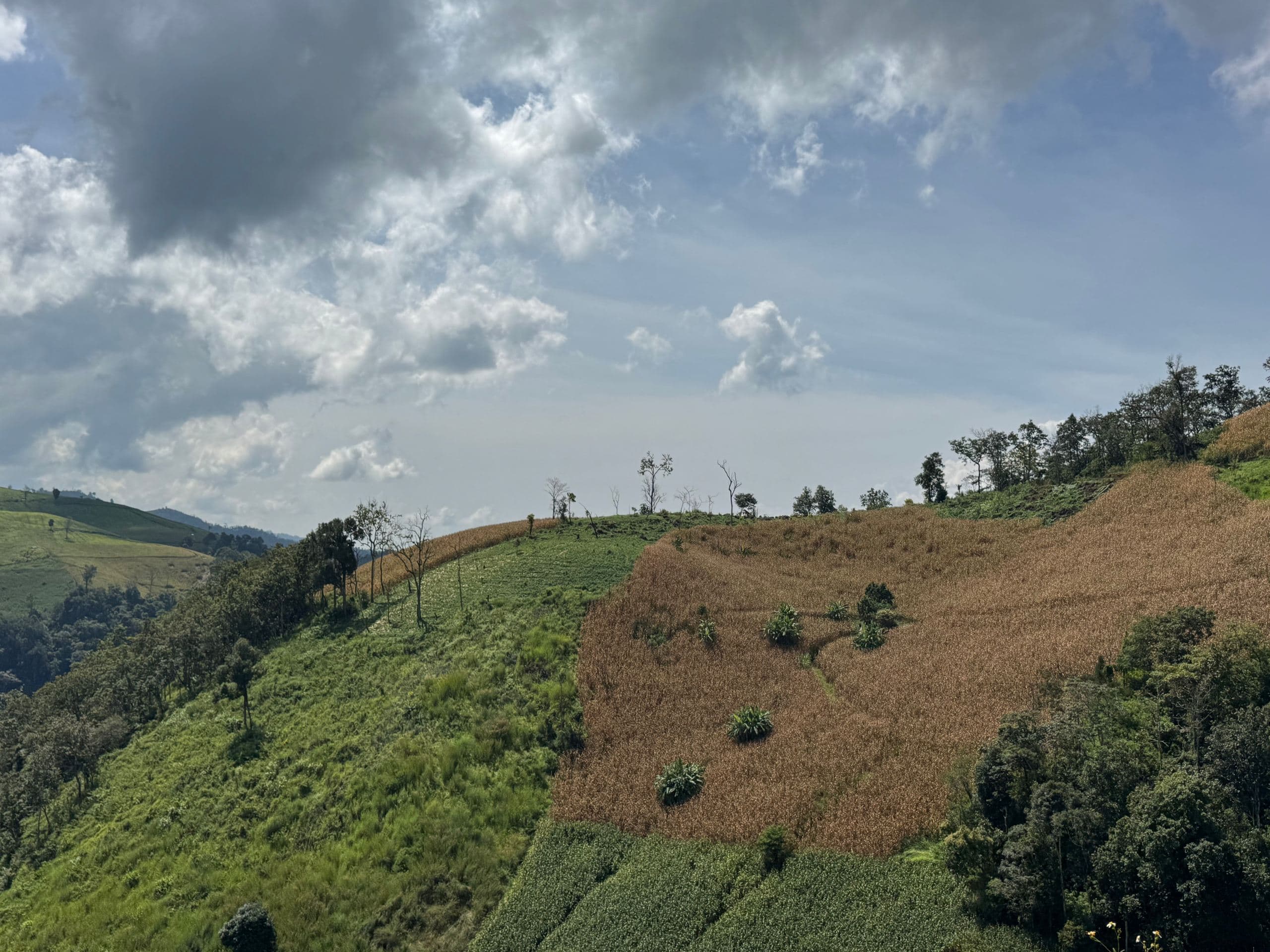 Mae Sa to Mae Chaem - The Long Way — photo 41