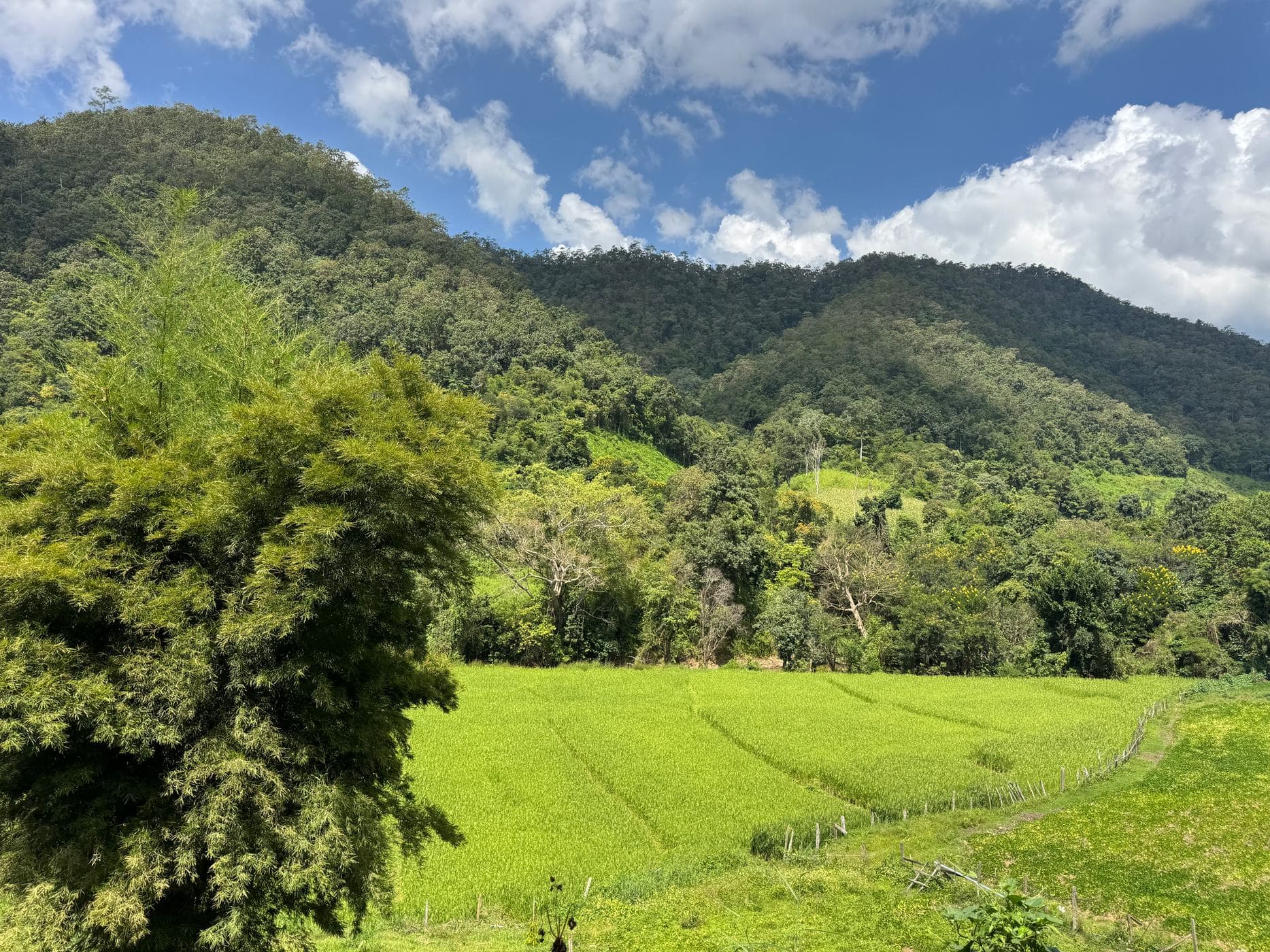 Mae Sa to Mae Chaem - The Long Way — photo 46