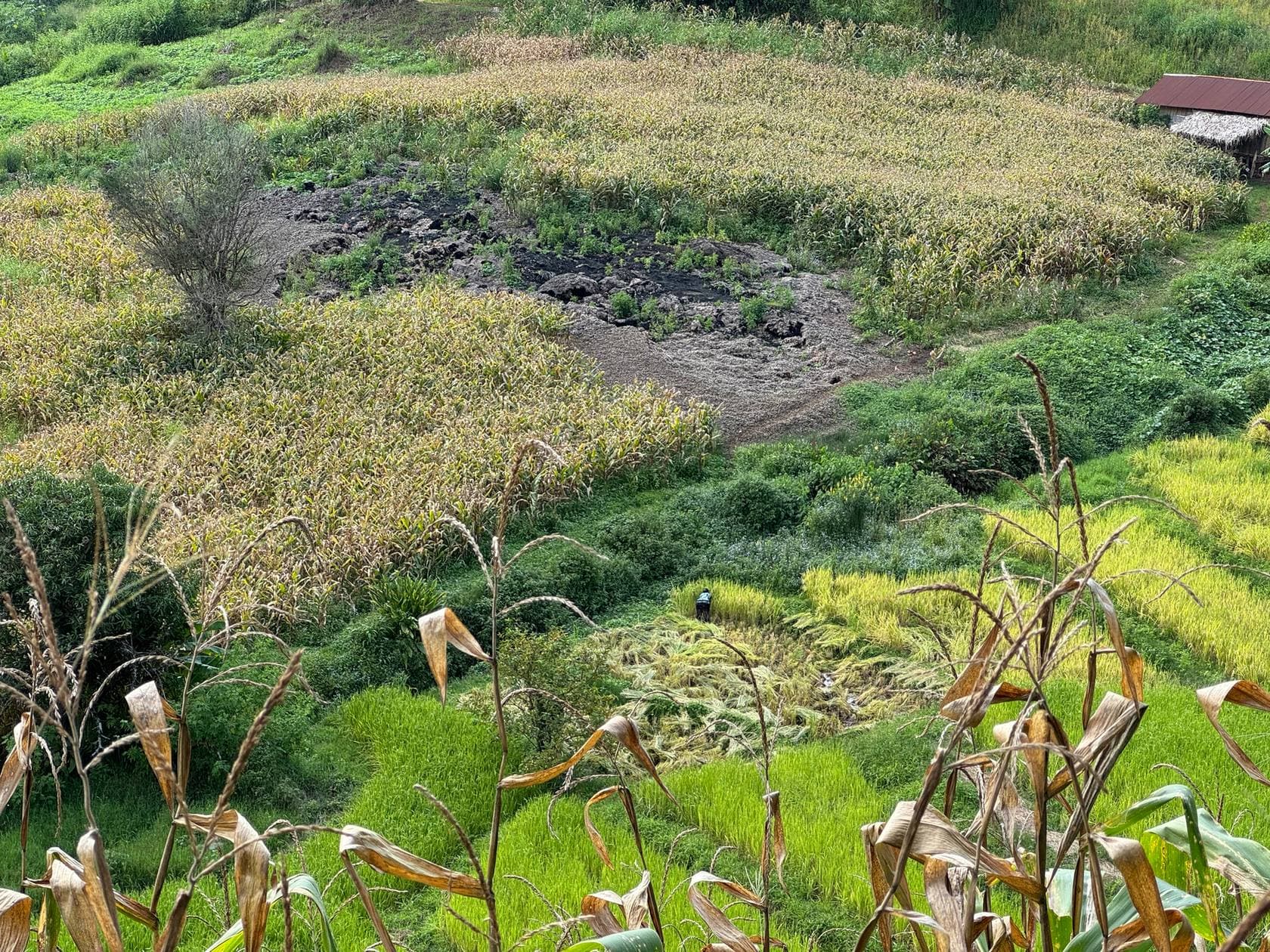 Mae Sa to Mae Chaem - The Long Way