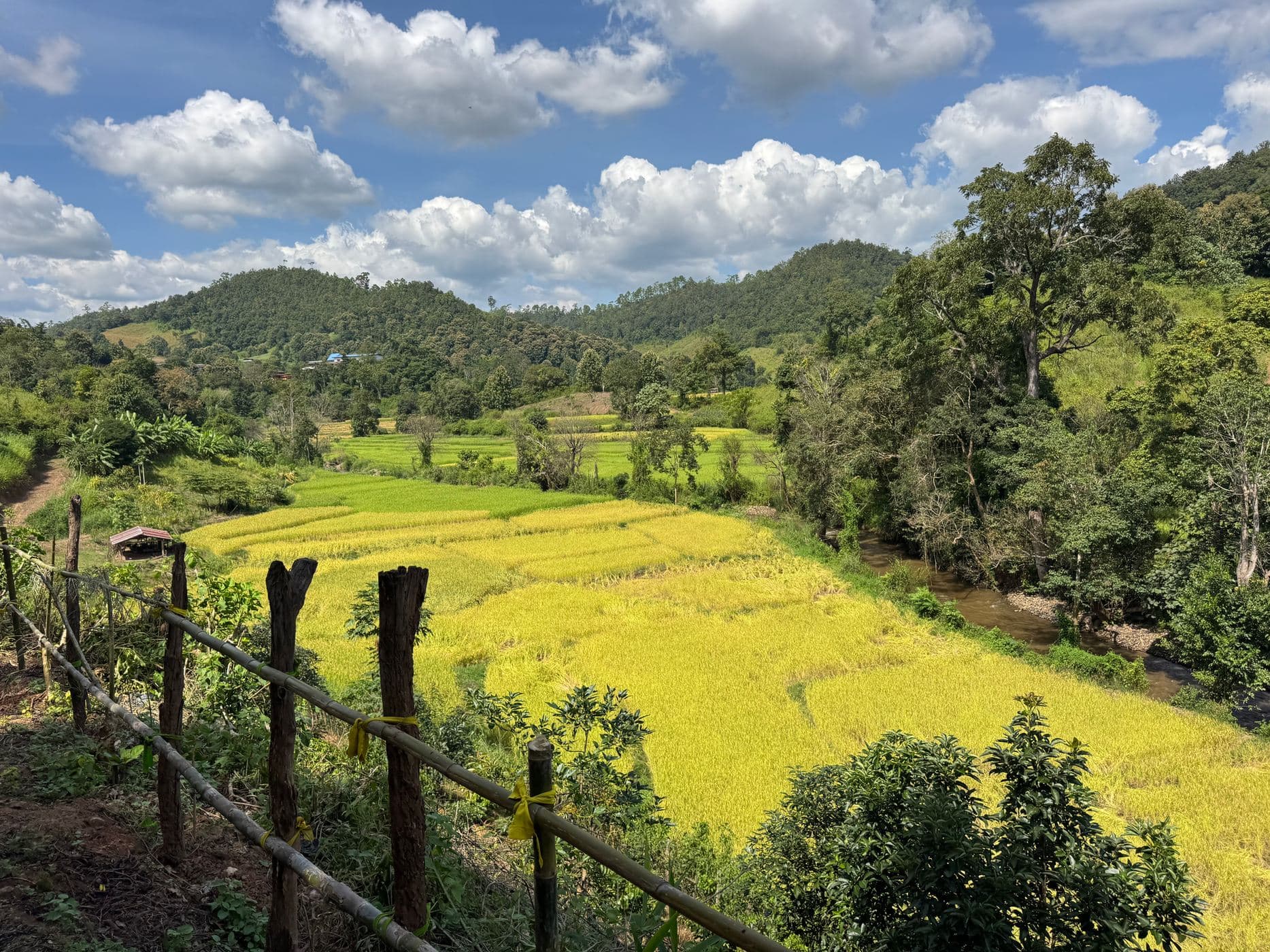 Mae Sa to Mae Chaem - The Long Way — photo 59