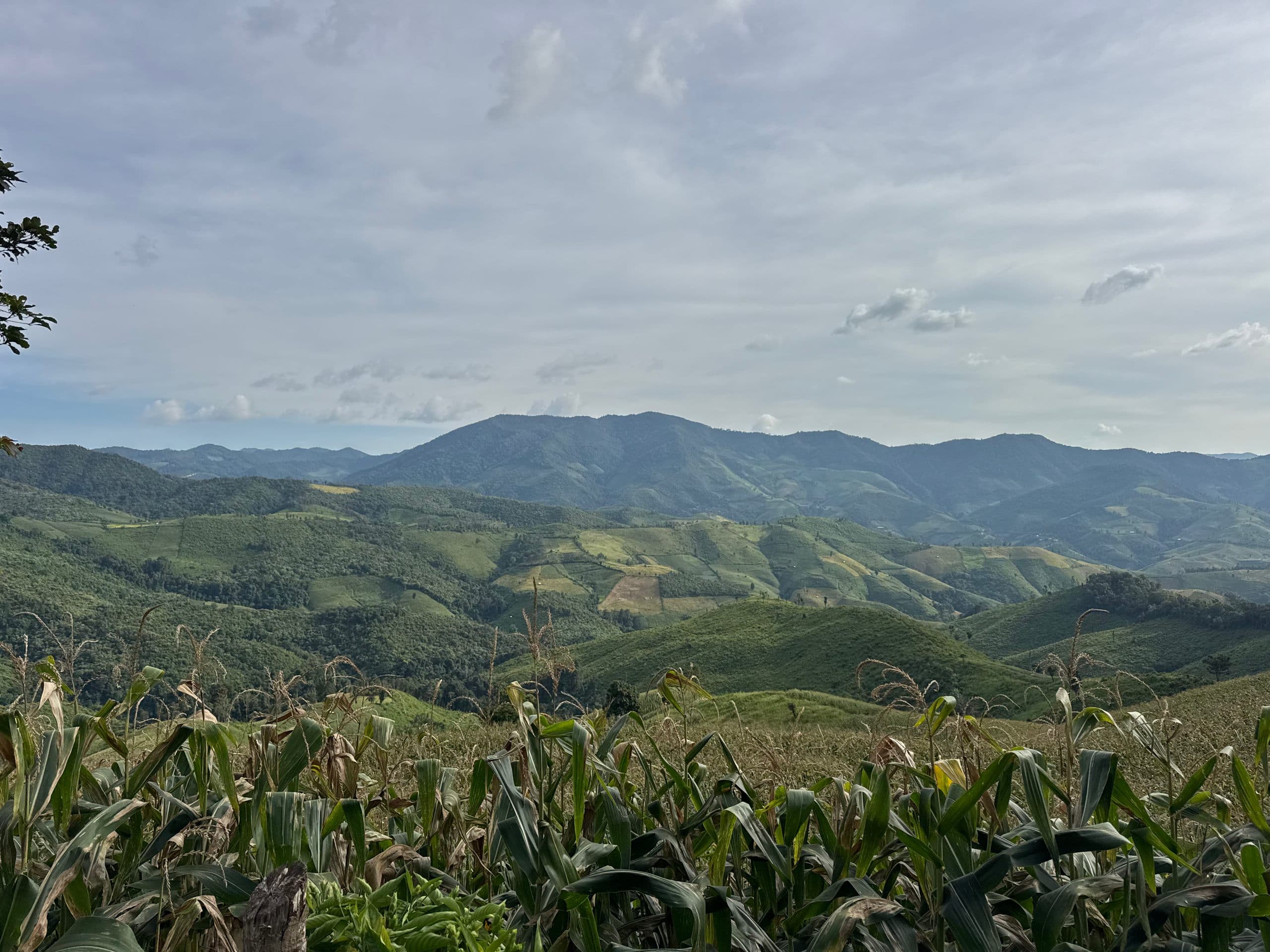 Mae Sa to Mae Chaem - The Long Way — photo 62