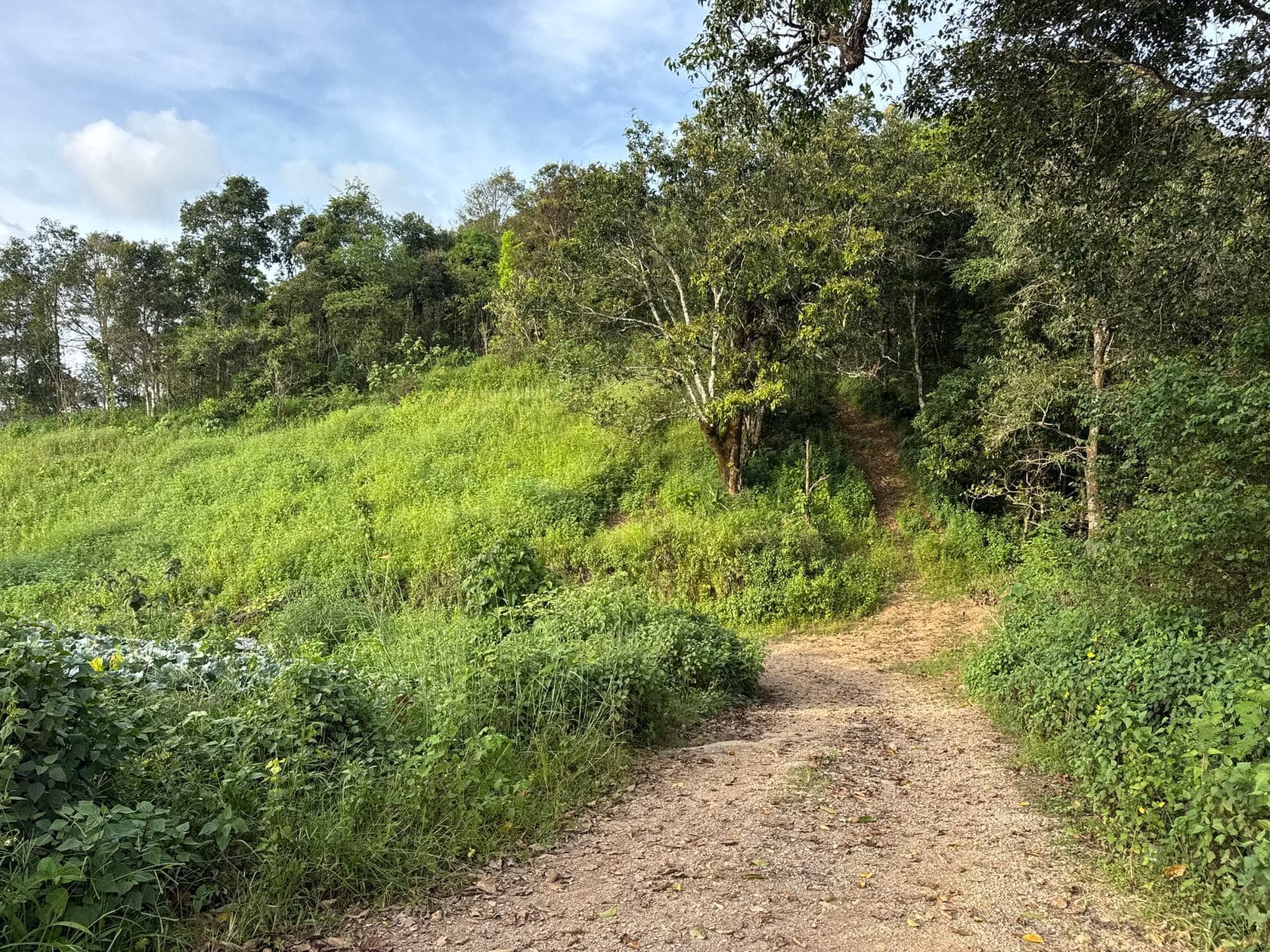 Mae Sa to Mae Chaem - The Long Way — photo 64
