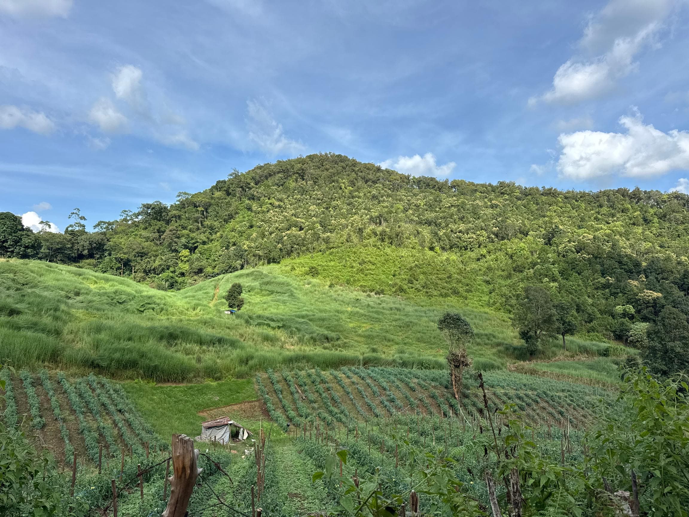 Mae Sa to Mae Chaem - The Long Way — photo 72