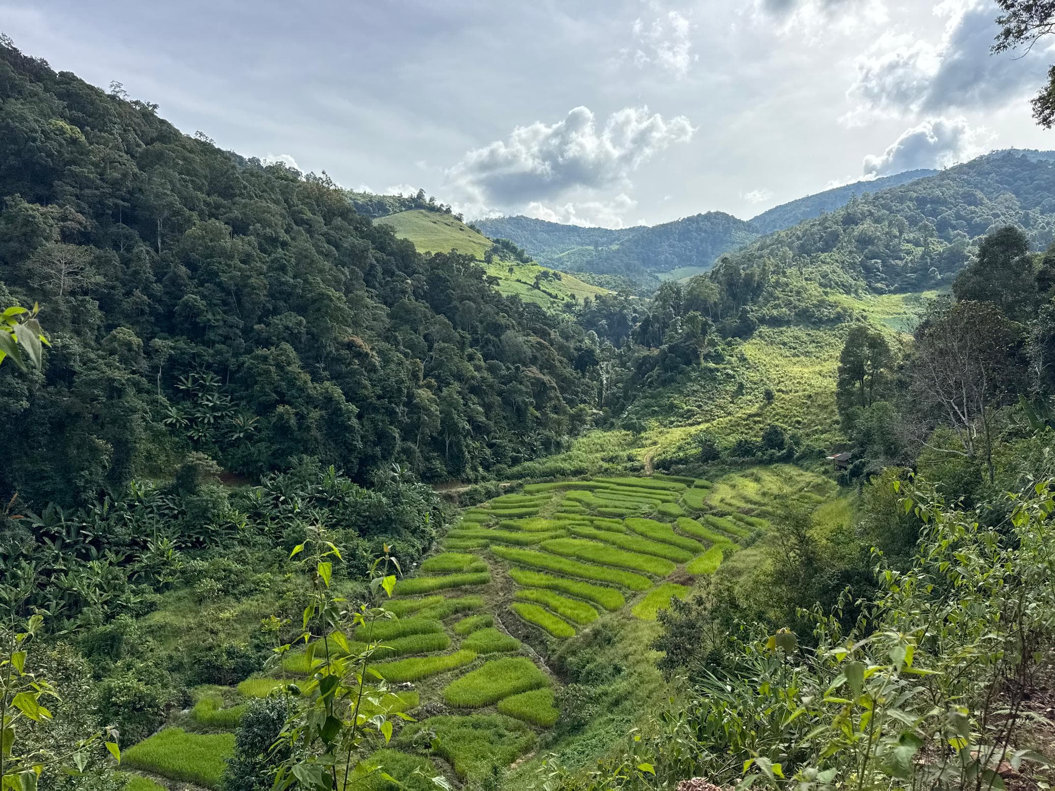 Mae Sa to Mae Chaem - The Long Way — photo 73