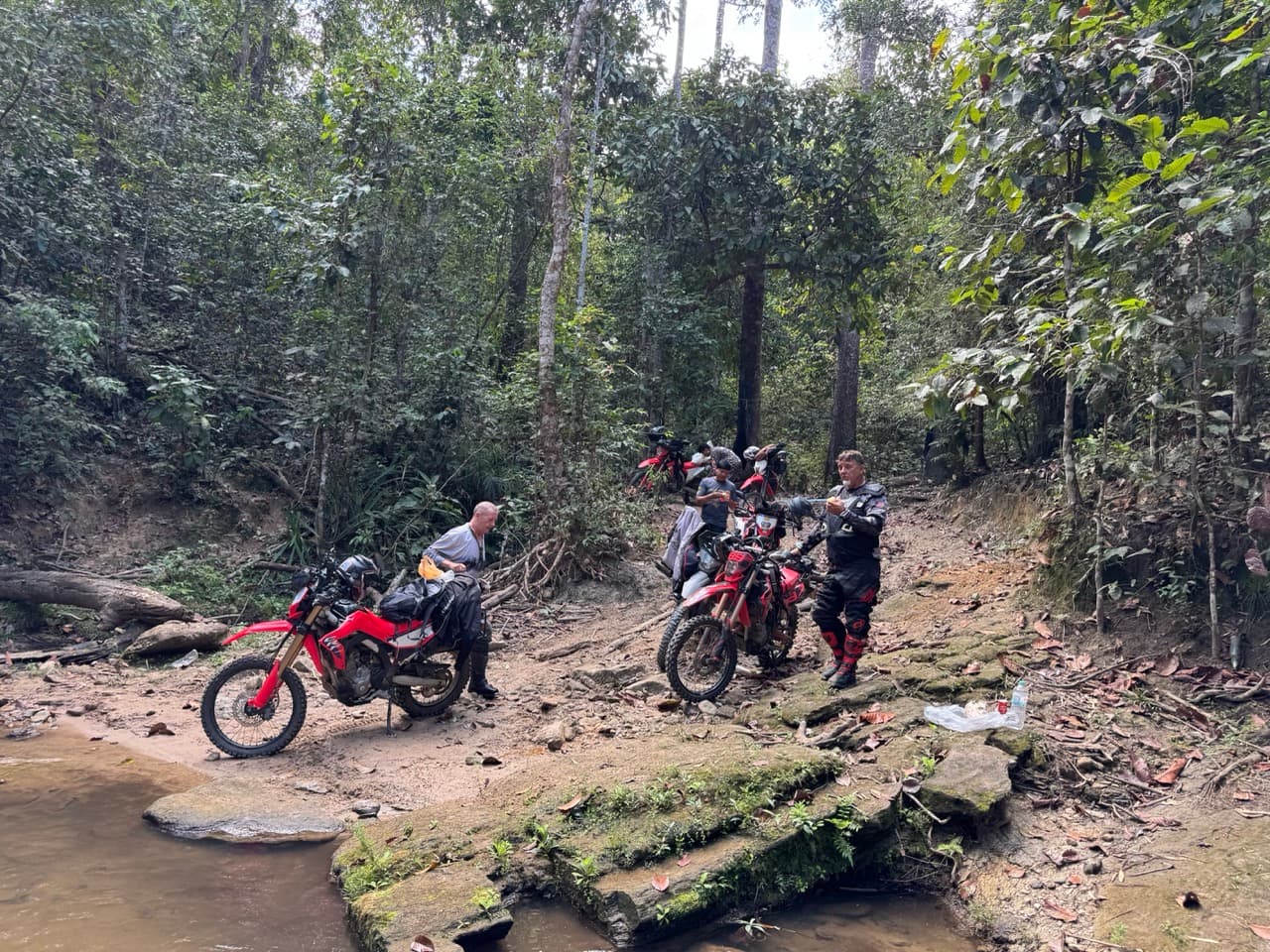 Bamboo Creek and the Butterfly Trail