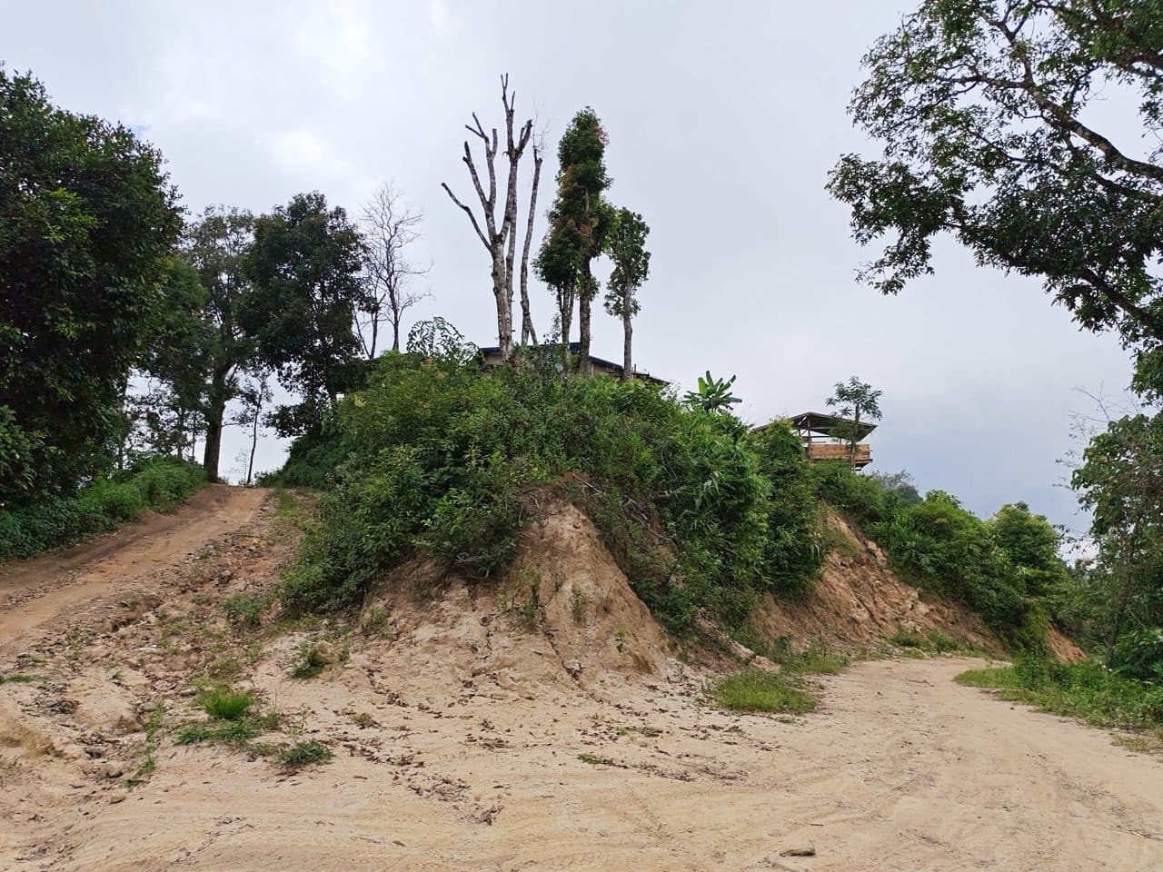Bare earth cut below a hilltop farm shelter.