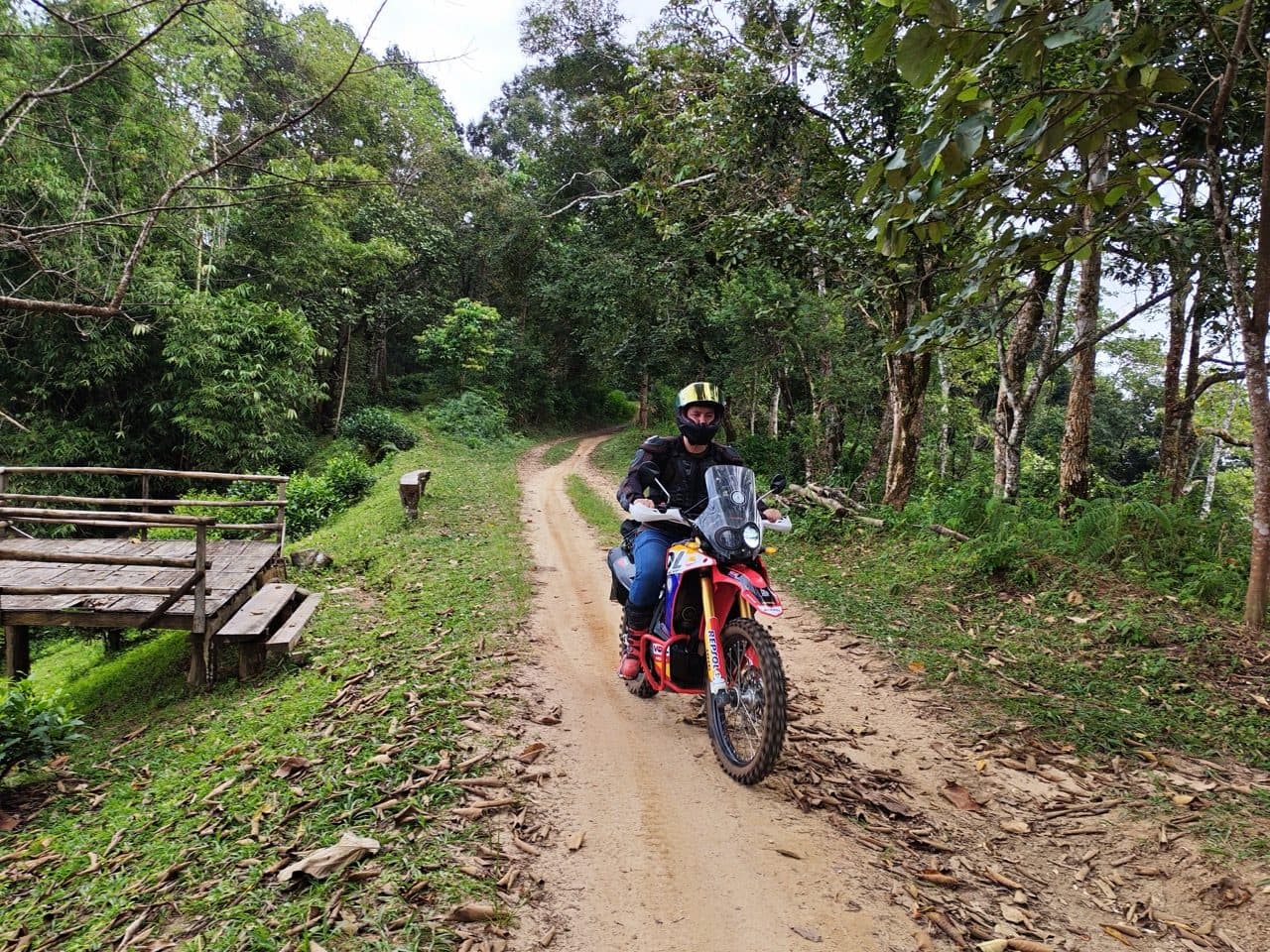 A rider on a Repsol-coloured Honda CRF250 Rally coming down a dirt track through forest, past a bamboo platform