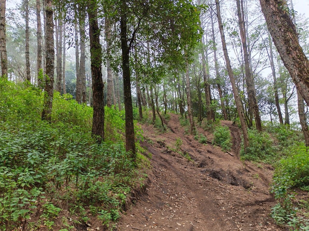 The rutted climb toward the 1,700 m high point.