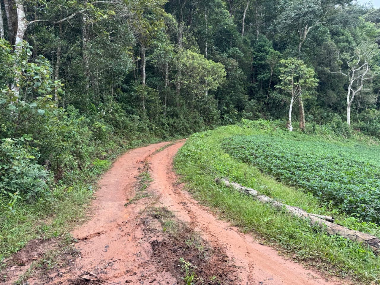 Clay, forest, a bean field, a felled log for a fence. This is most of the middle of the route.