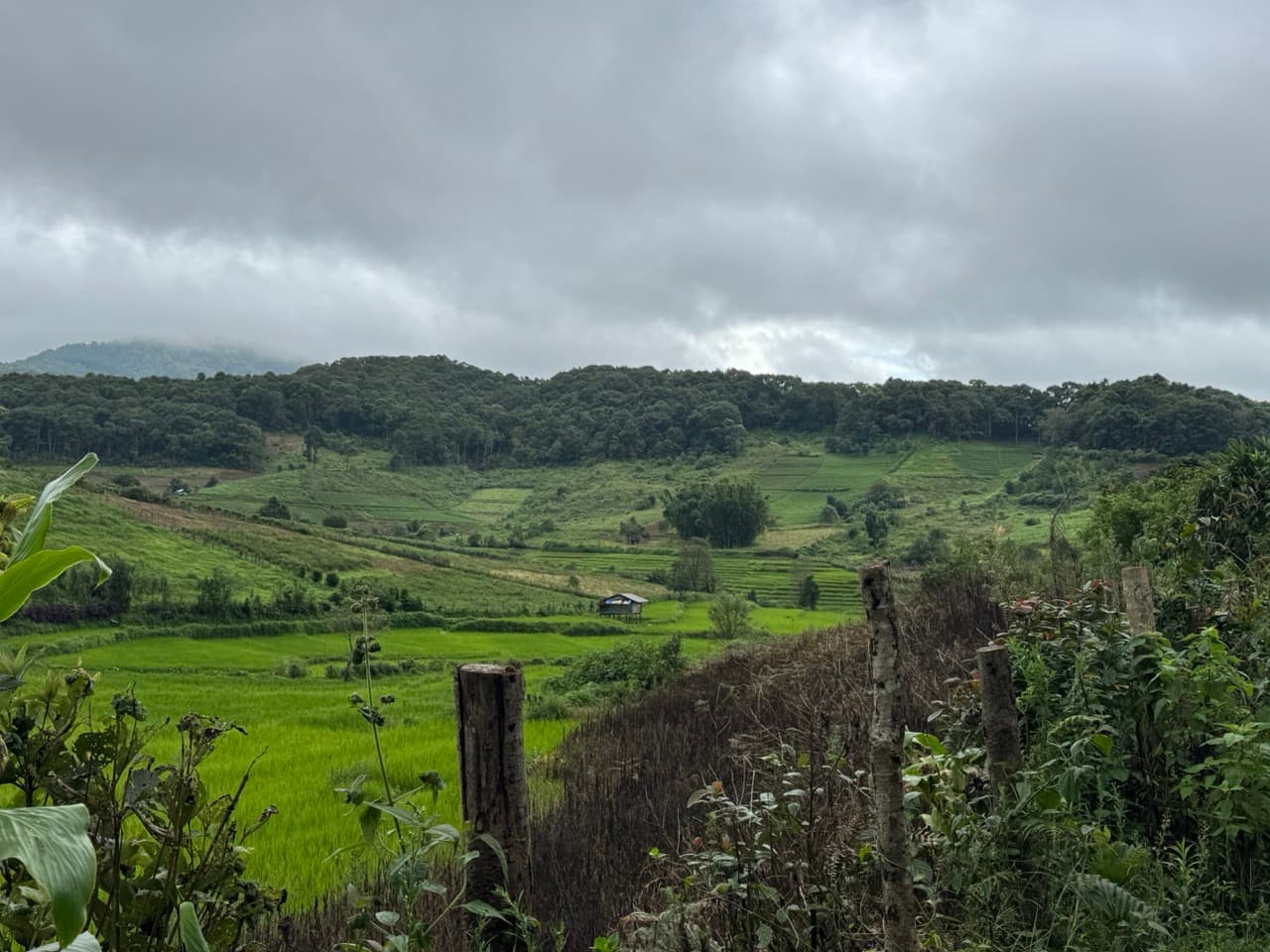 The compensation. Terraces below the track, a hut in the middle of them, nobody around.
