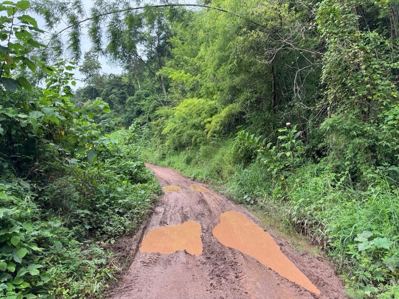 Standing orange water in the ruts, left over from the night's rain