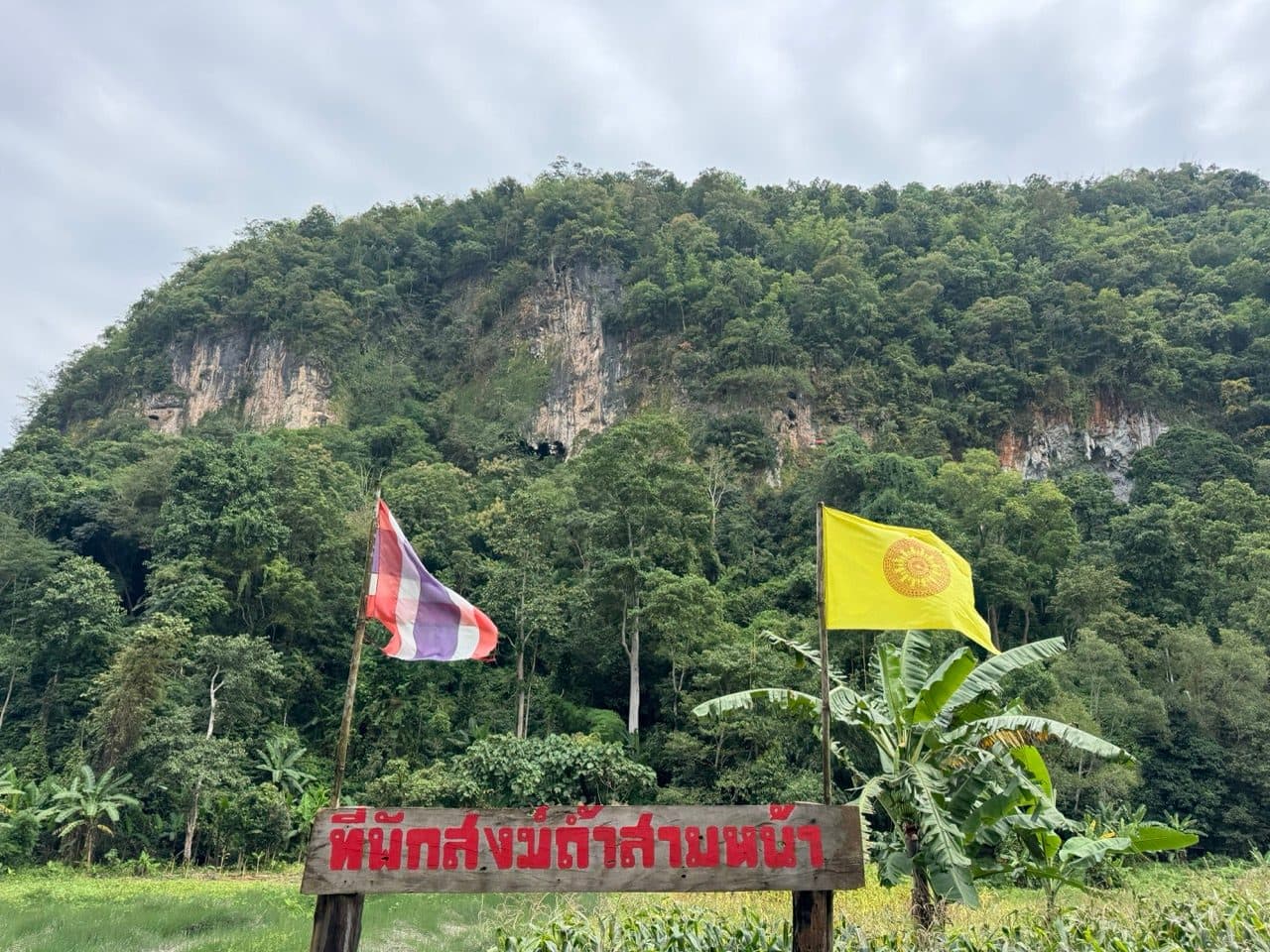 The limestone face at Tham Sam Na, with the monastery sign below it