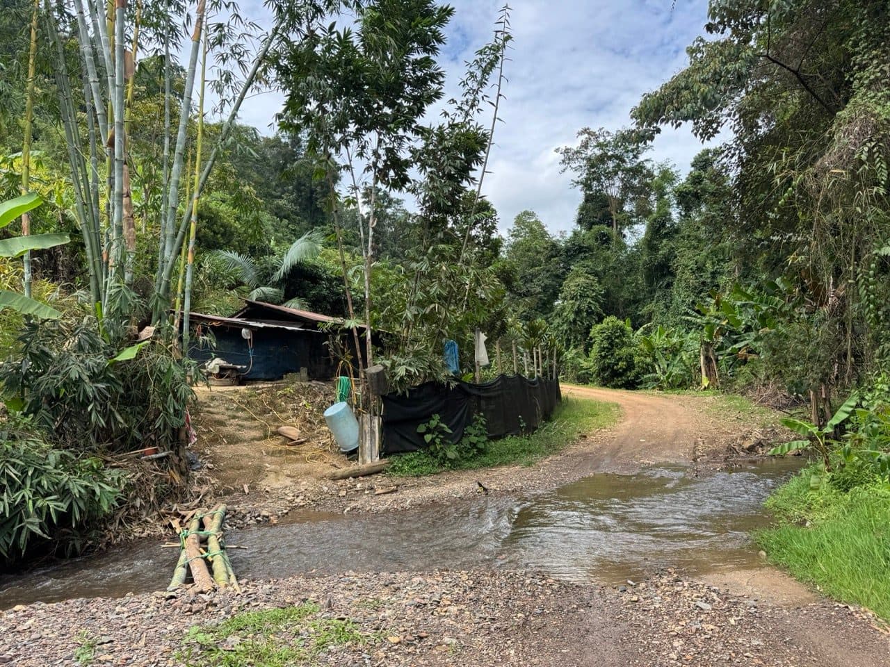 Water across the road beside a bamboo shelter