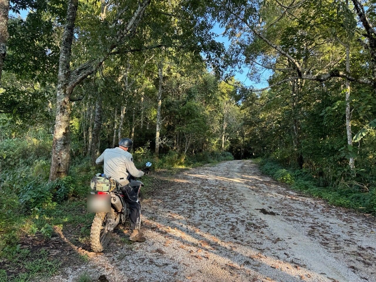 The old border road, gravel and shaded and completely empty.