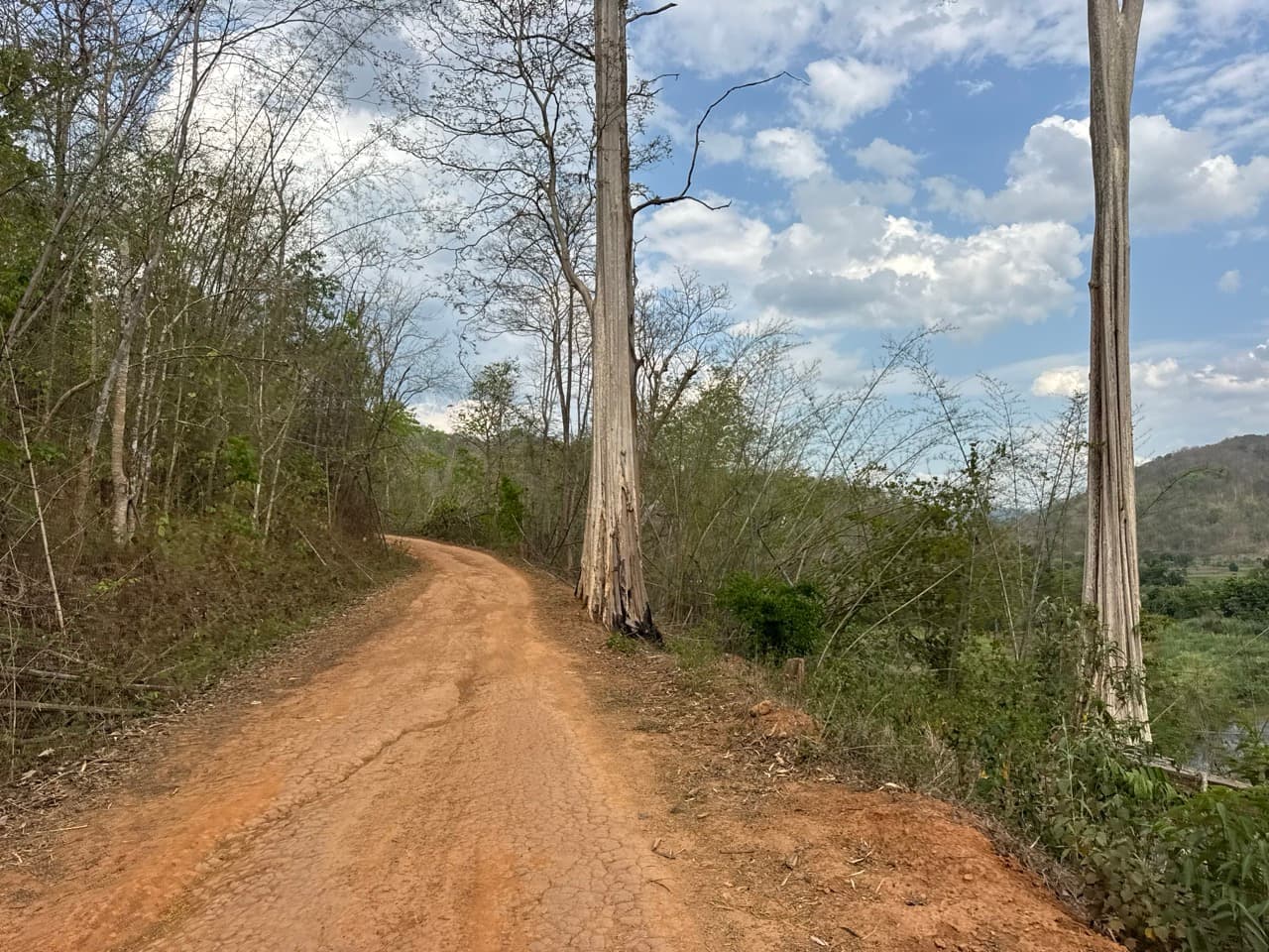 An orange dirt road running between tall trees on the back road out of Khun Yuam