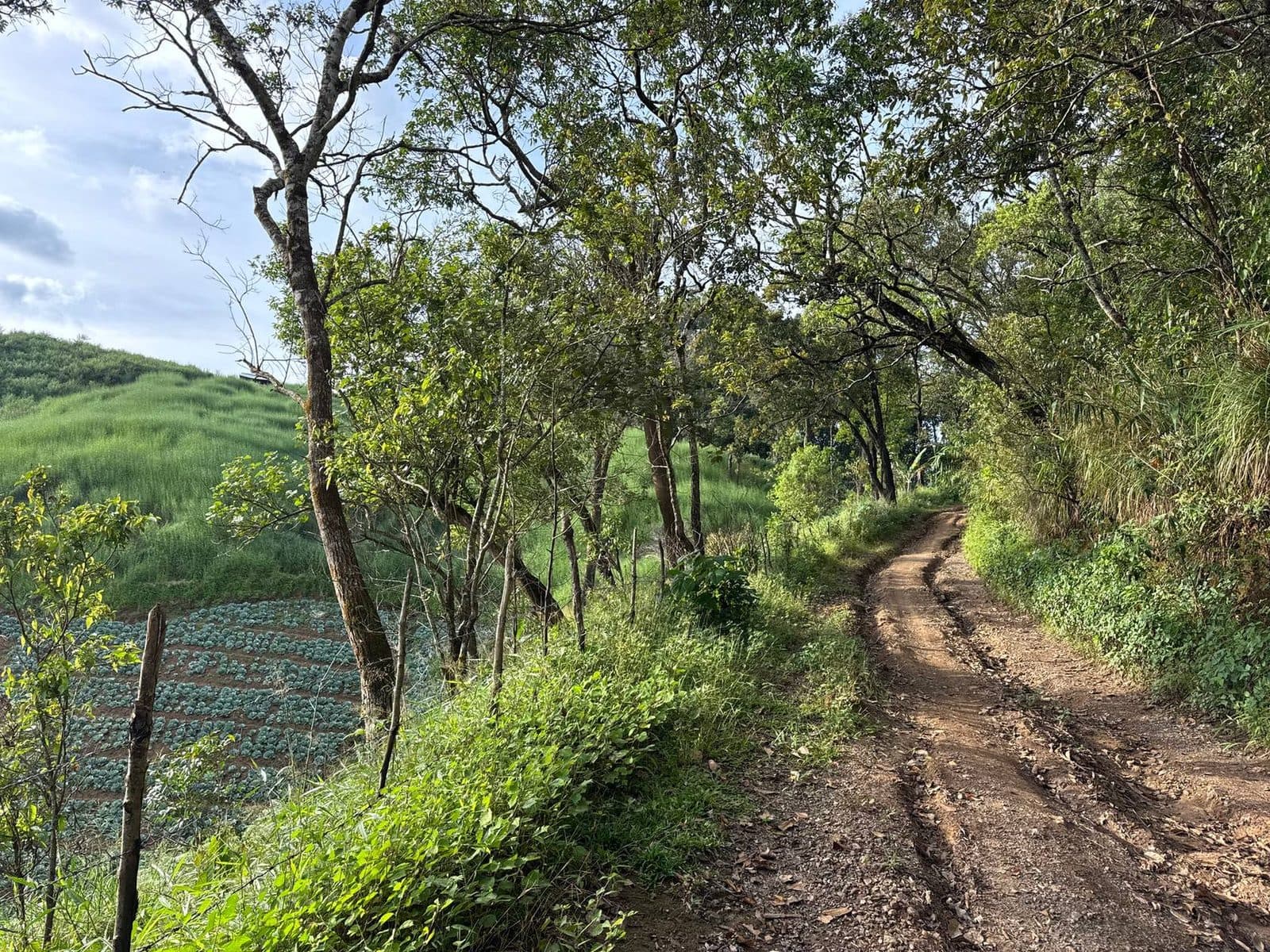 Late afternoon, and the ruts are starting to matter more.