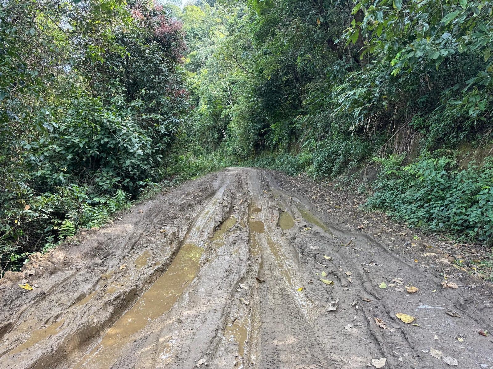 Not every section was dry. Shaded forest holds the wet season long after it ends.