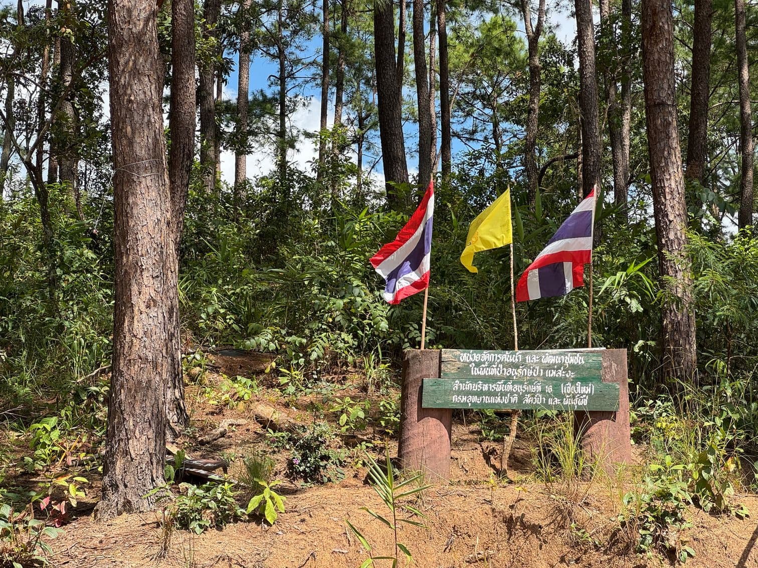 The forestry sign for the Mae Sa Nga watershed, about 80 km in. This is where the camera came out.