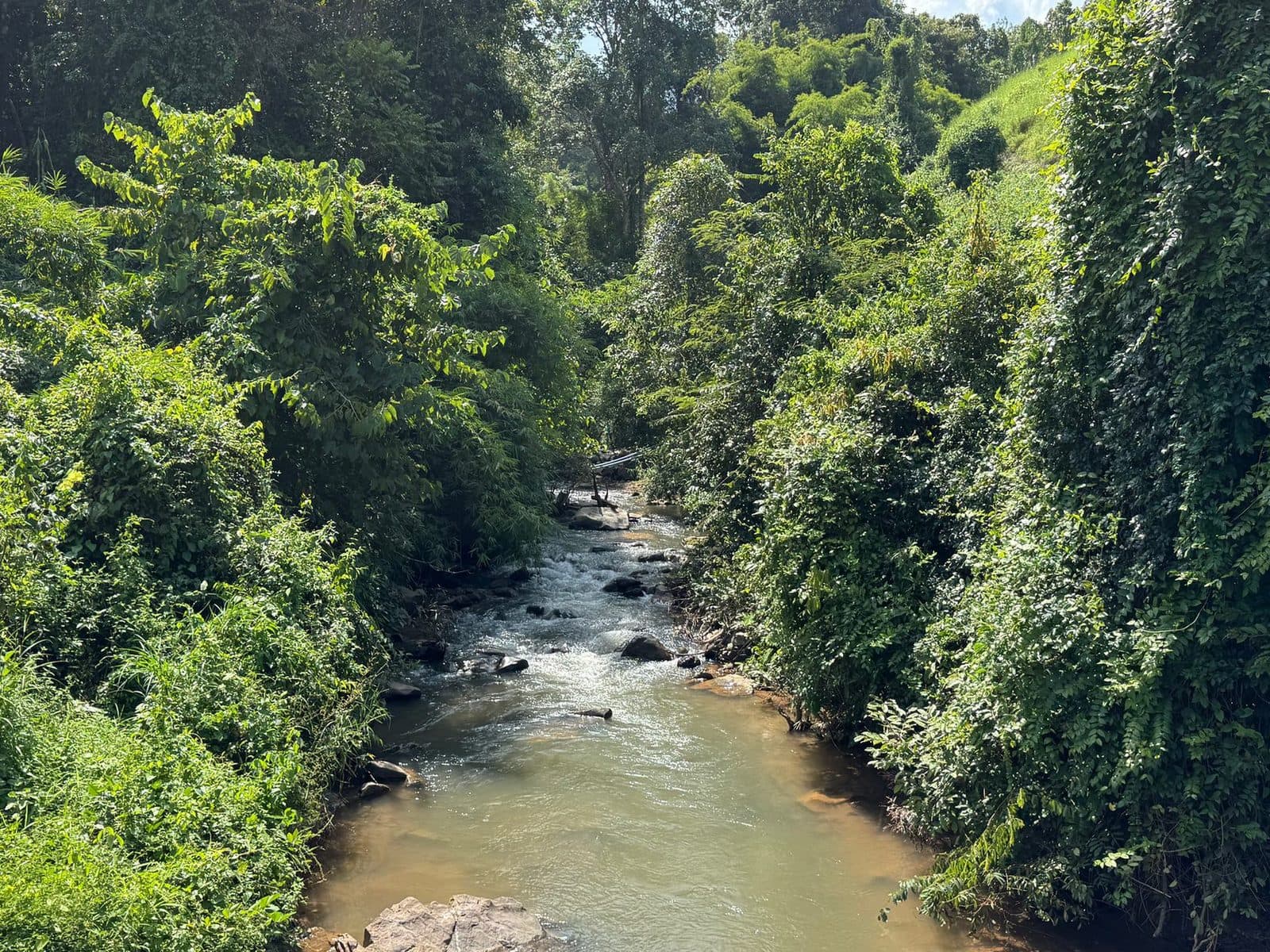 The river running clear and fast in its gorge, well below the track.