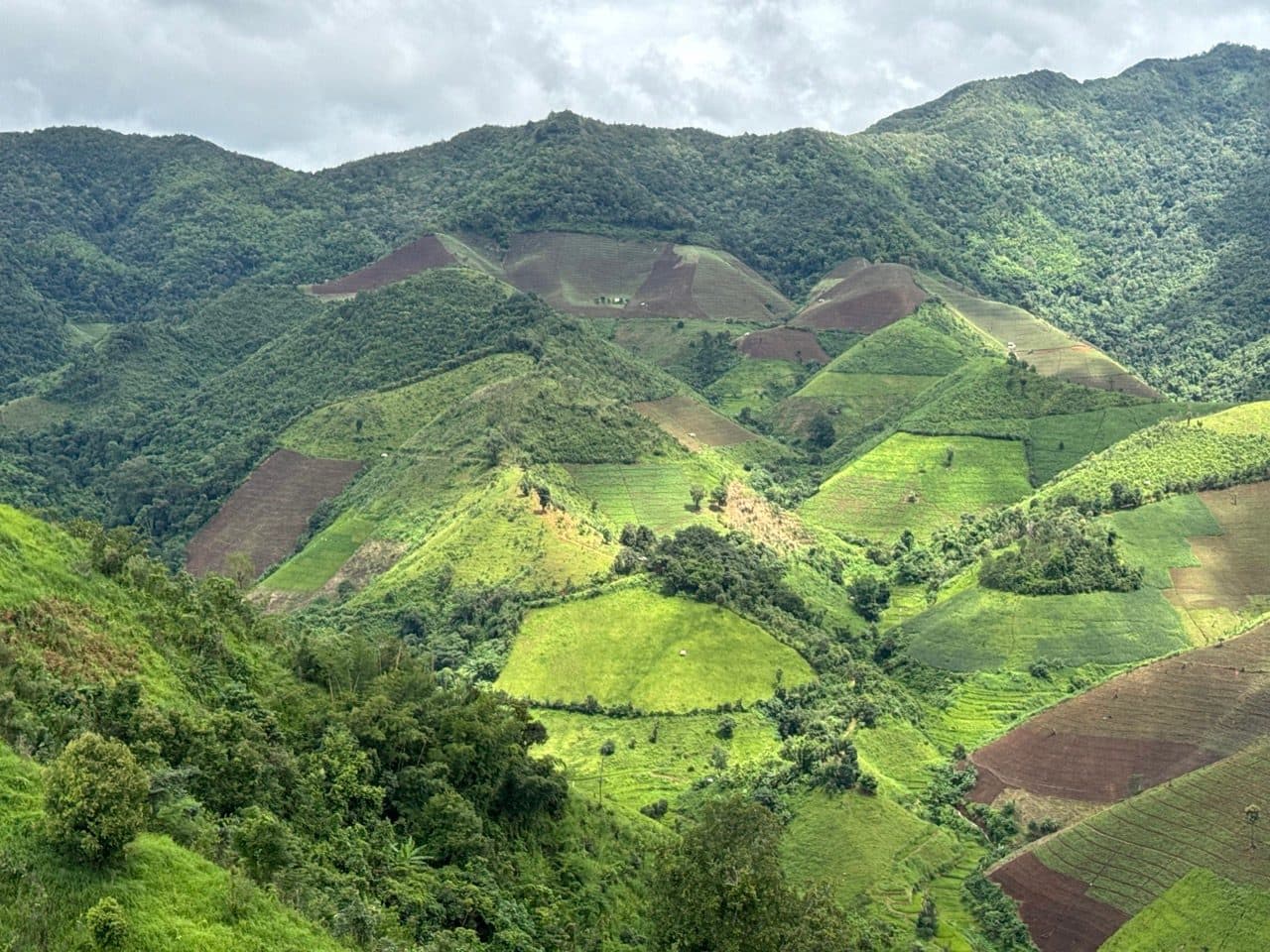 Hillsides quilted green and red-brown with farm plots.