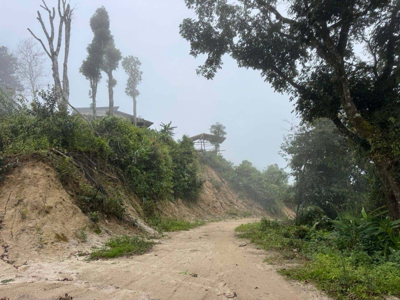 Hilltop buildings barely visible in the fog near the top