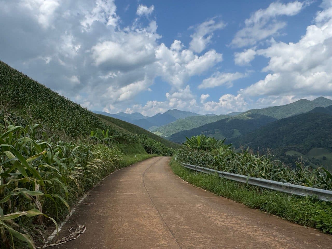Concrete lane along the corn, heading into the second loop.