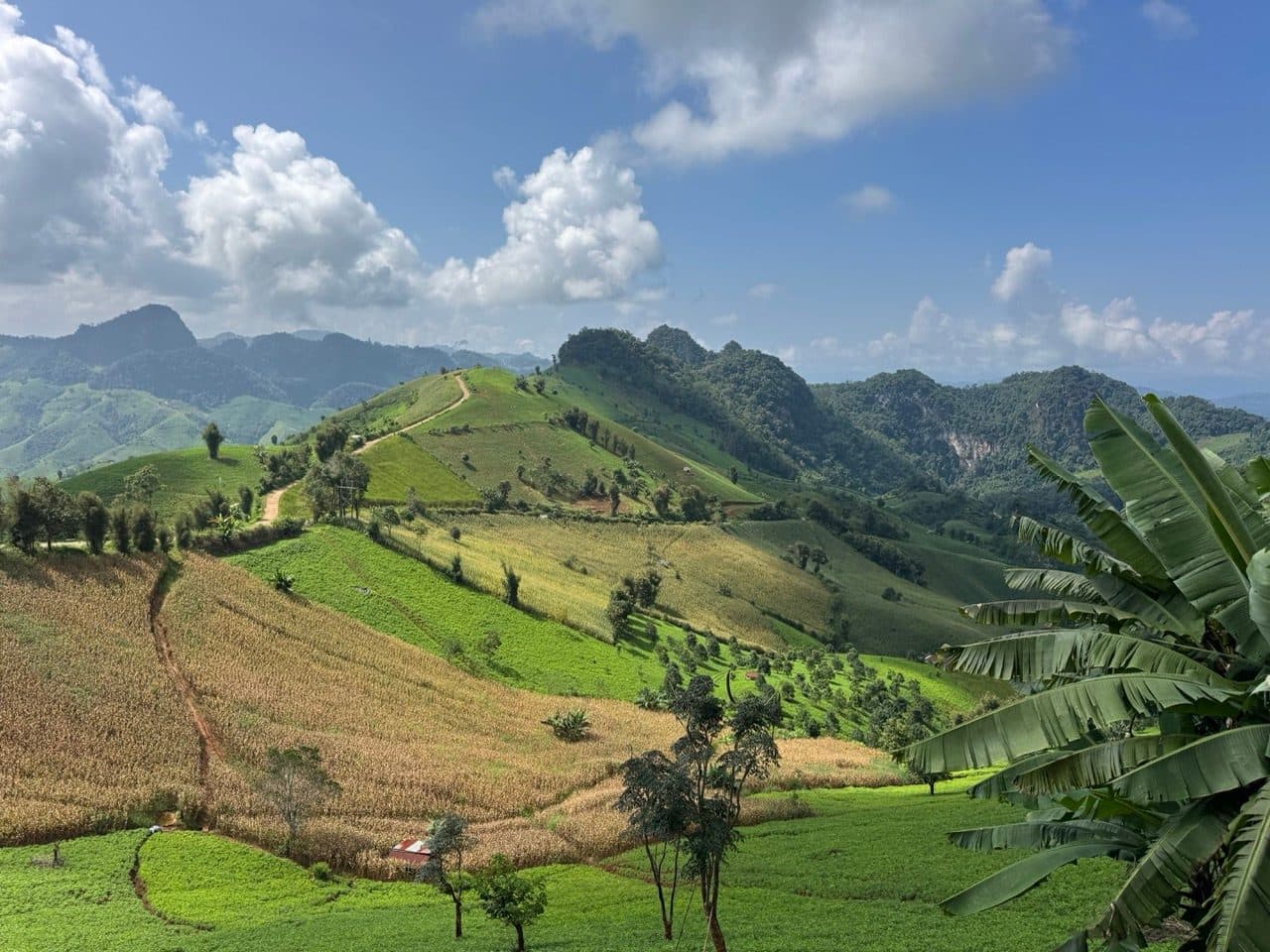 Ridge track strung across the hills, with karst behind.