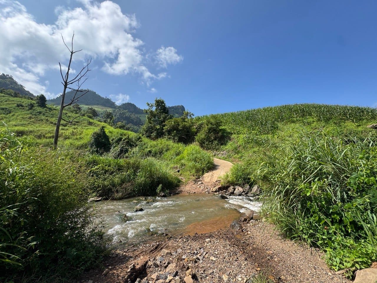 The stream crossing, looking back from the bank.