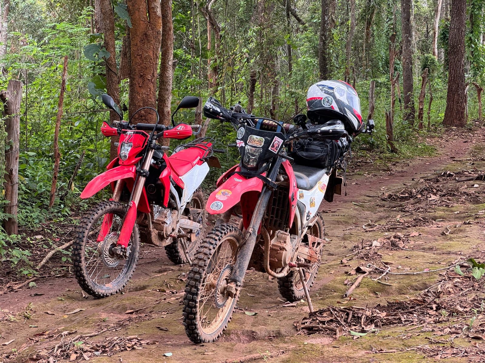 Two CRFs in the teak, tyres packed solid with clay.