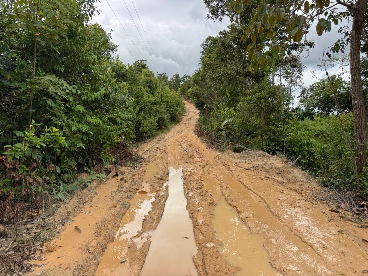 Churned orange mud under the power lines