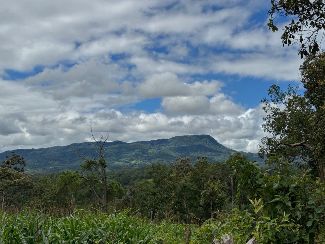 The flat-topped mountain west of the ridge