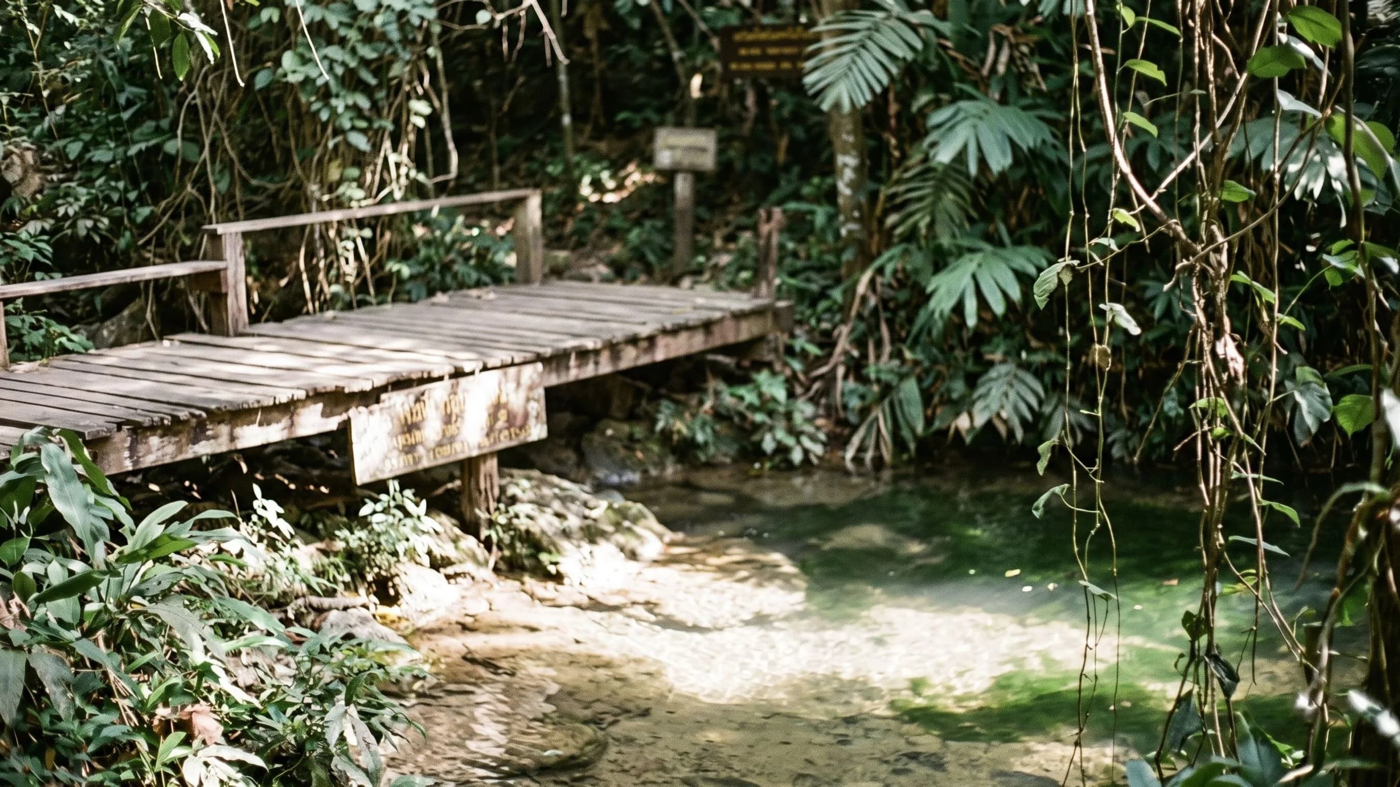 Klo Ko Waterfall Forest Park