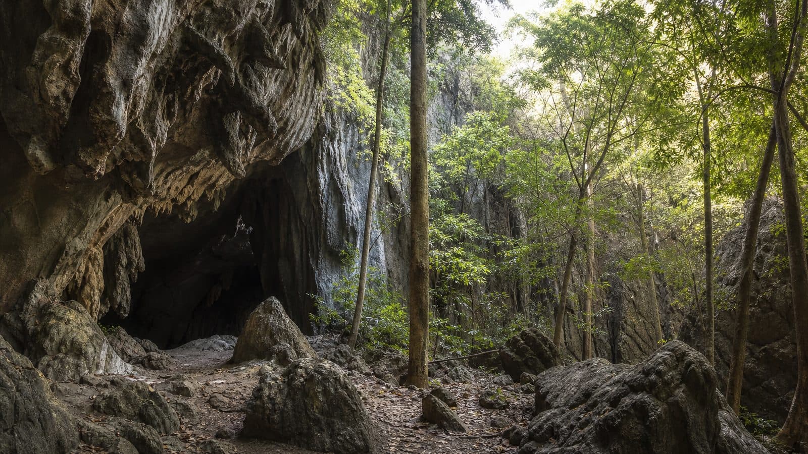 Chao Ram Cave Forest Park