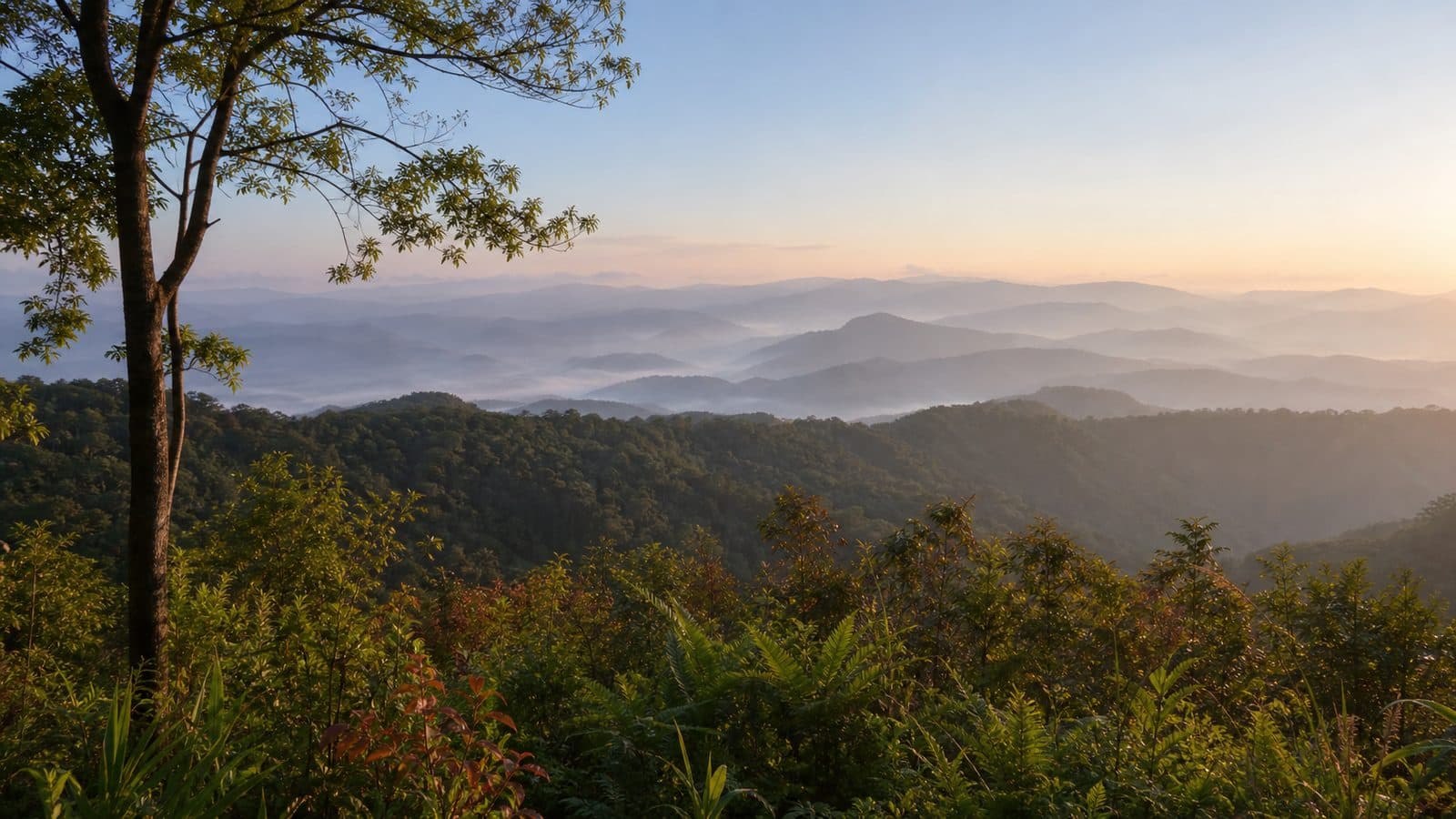 Doi Kat Phi Forest Park