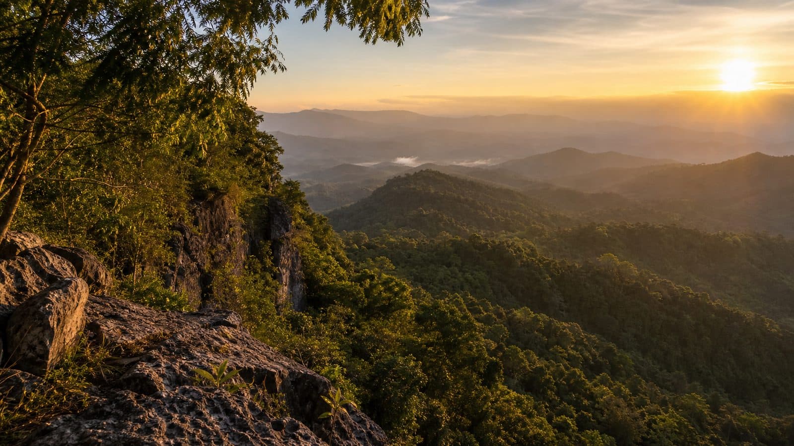 Doi Pha Chang Forest Park