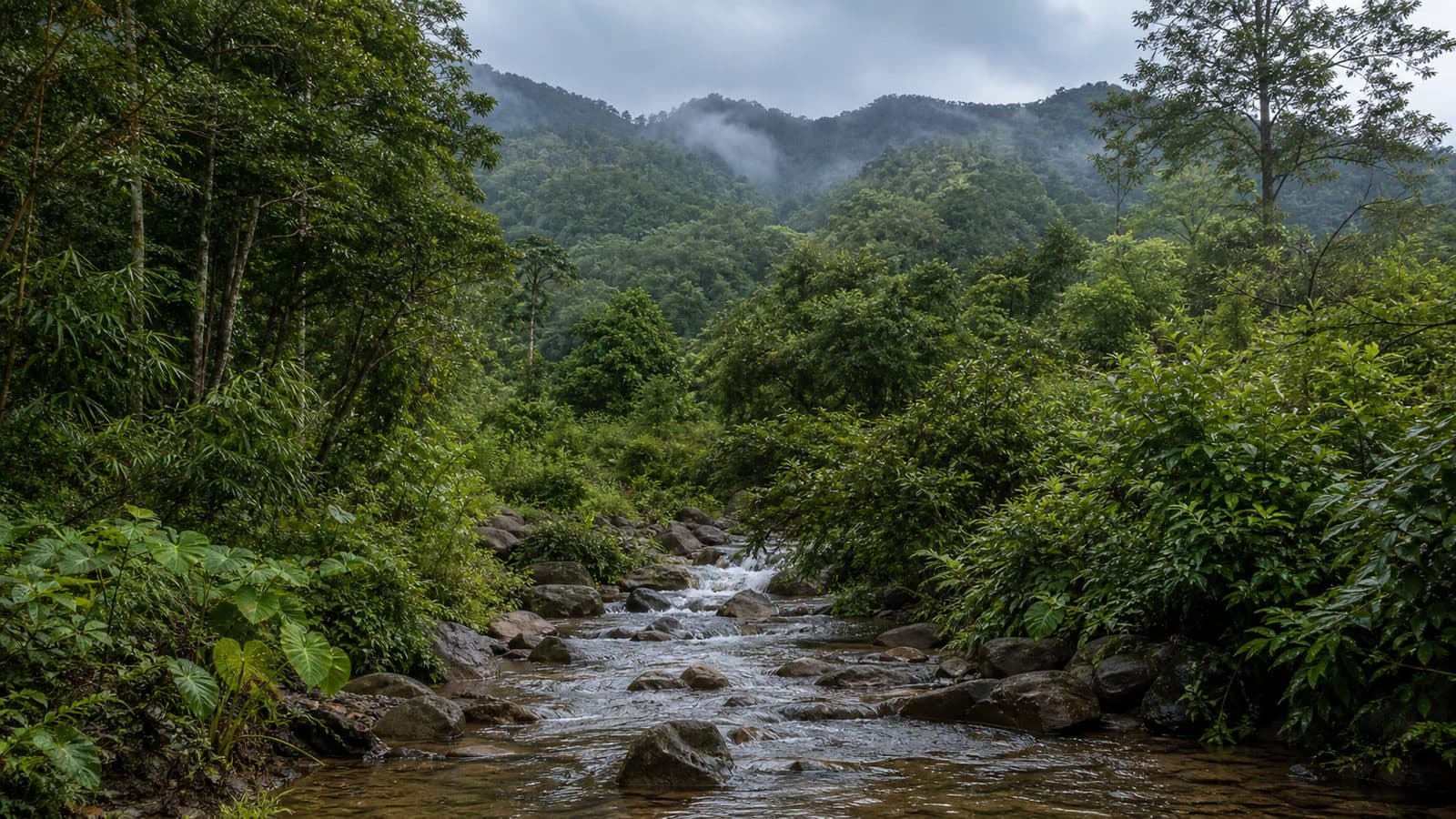 Doi Pha Klong Forest Park