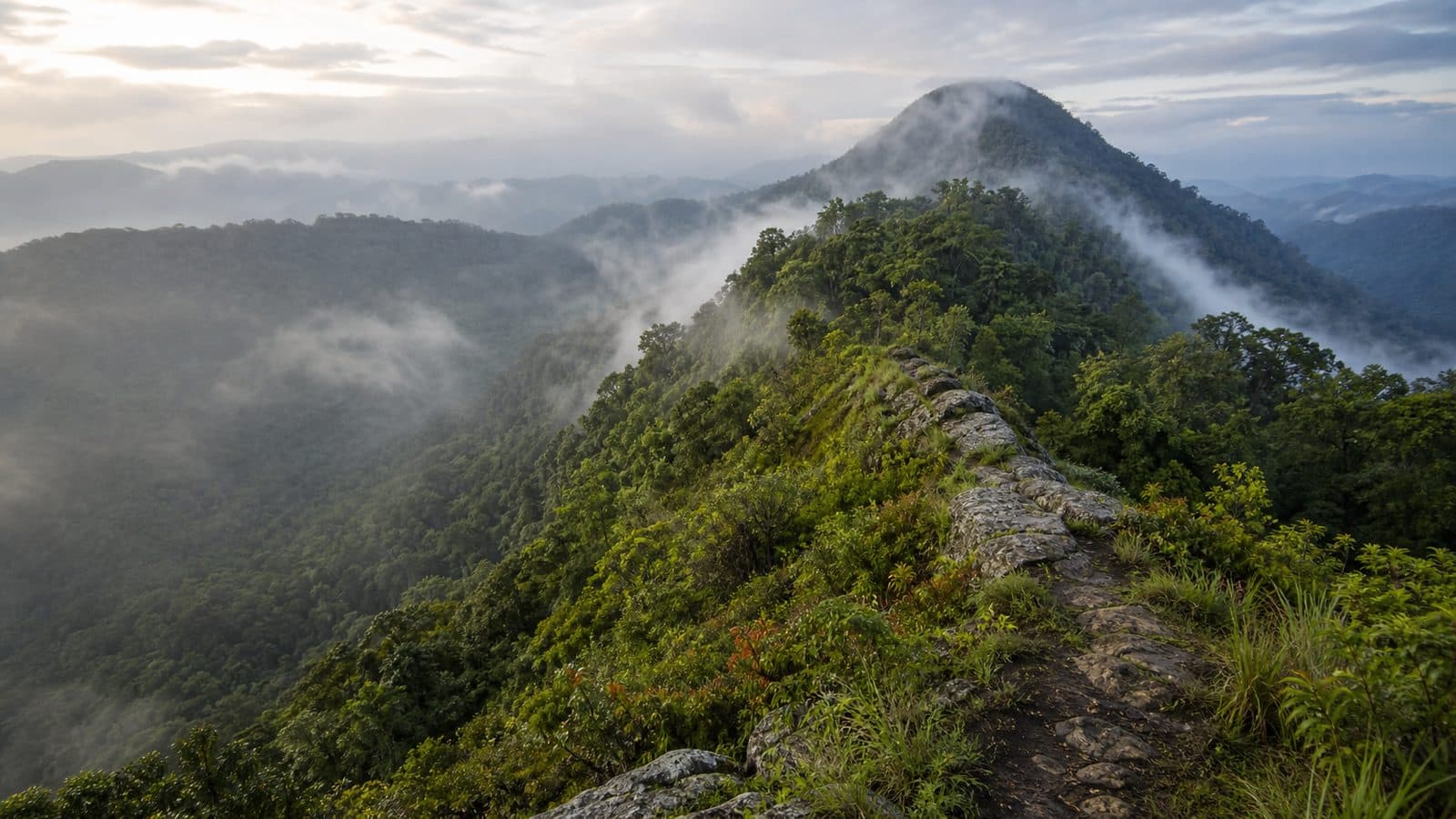 Doi Pha Mueang Forest Park