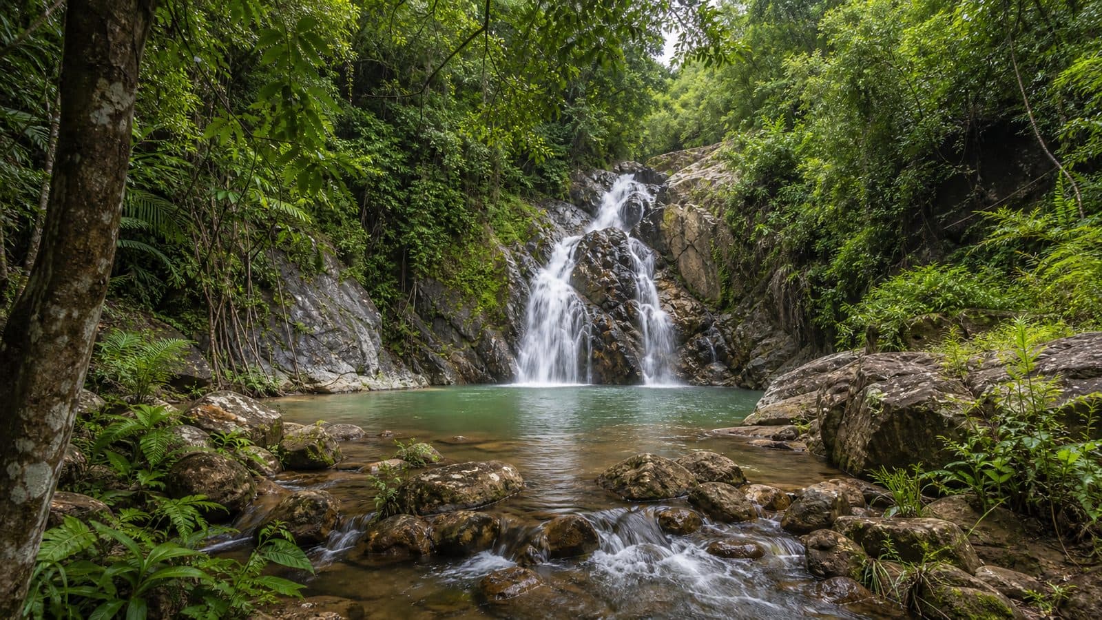 Doi Phu Nang National Park