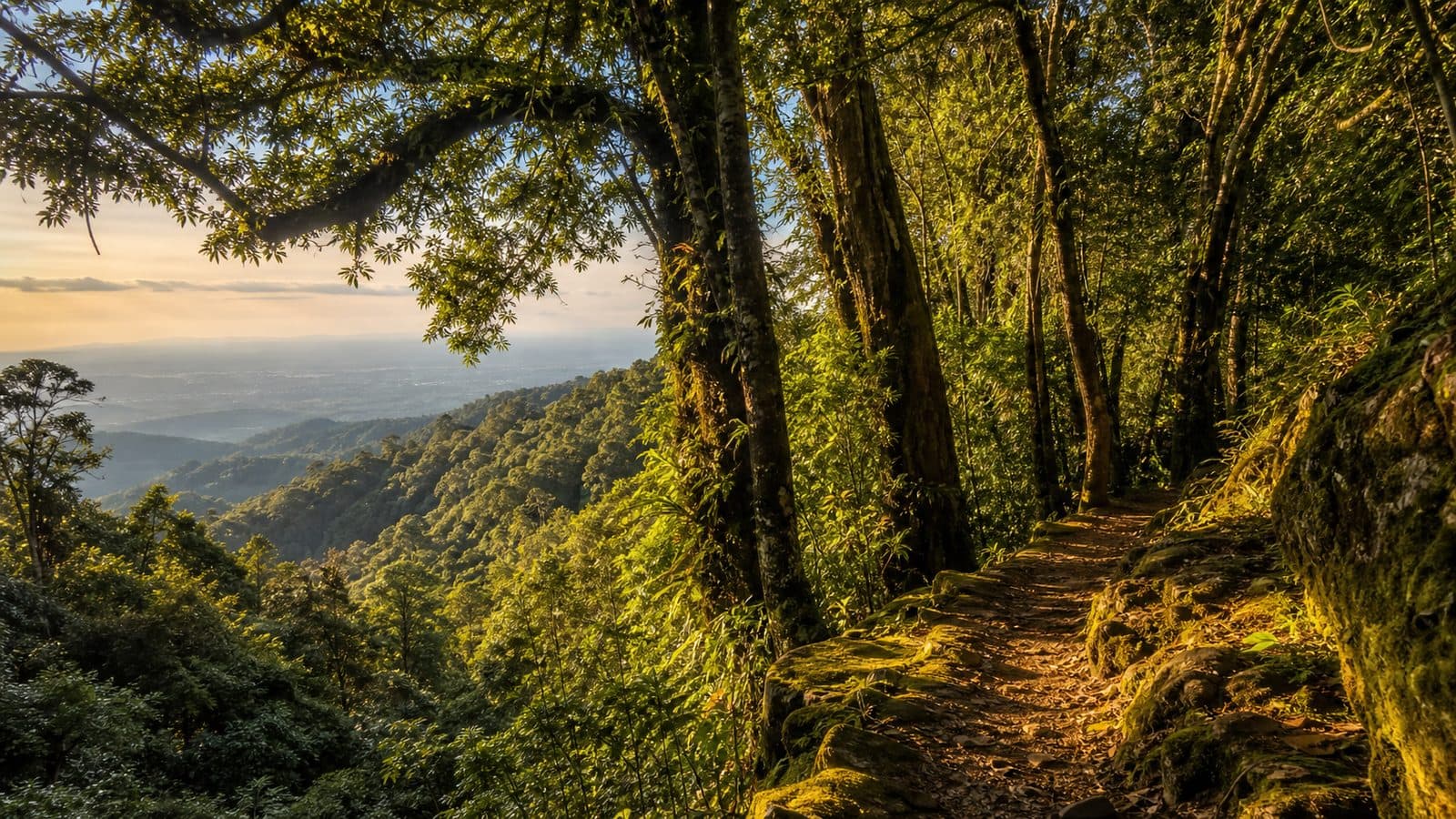 Doi Suthep–Pui National Park