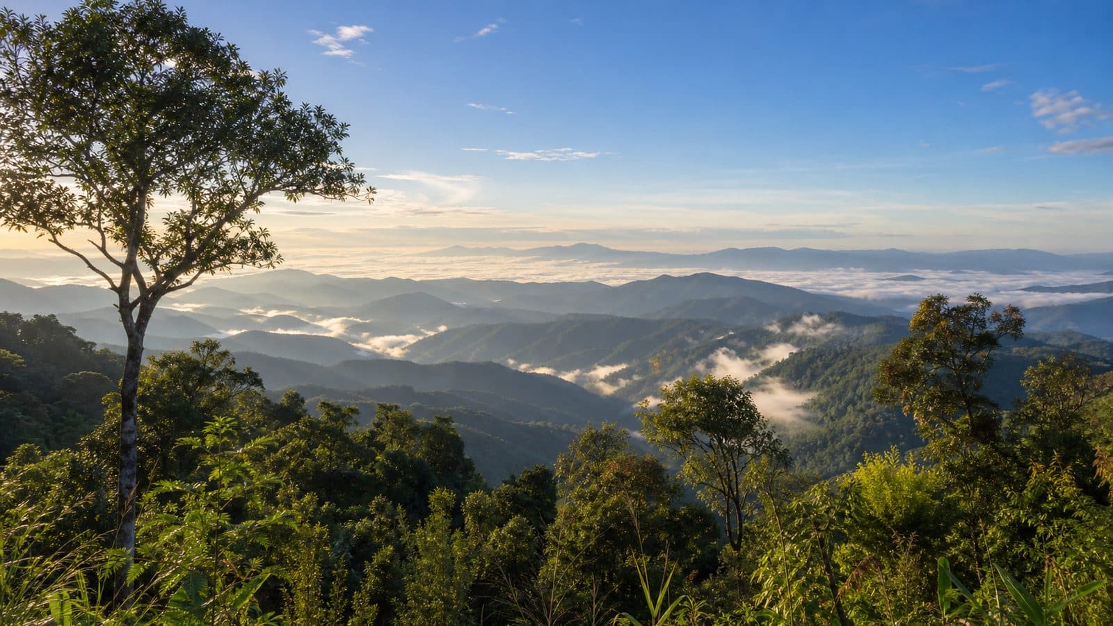Doi Wiang Kaeo Forest Park